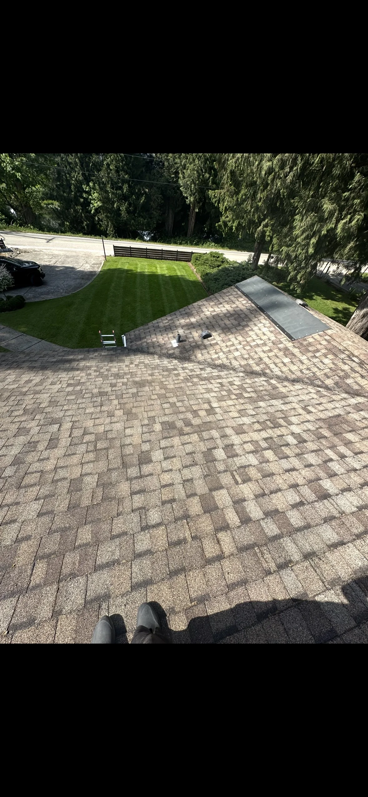 View from a roof showing brown shingles, a courtyard with grass and concrete, a white step ladder, and tall trees.