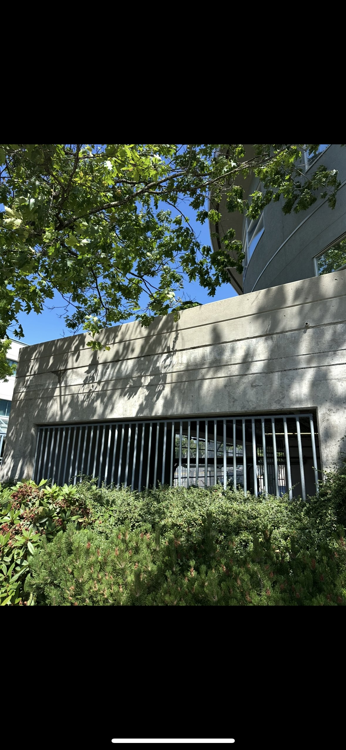 A concrete building with a metal gate, surrounded by green bushes and trees, with a bright blue sky in the background.