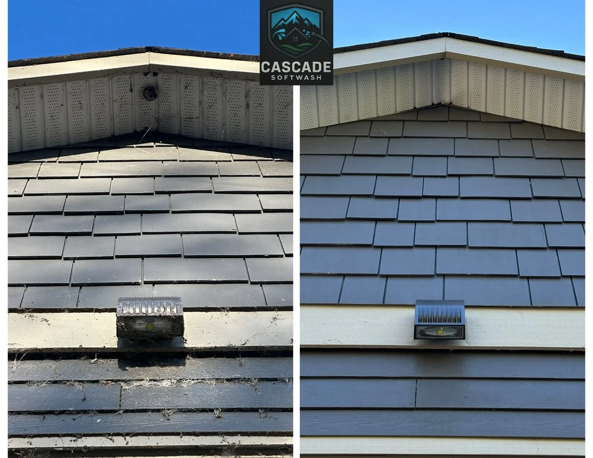 Comparison of a house gutter before and after cleaning, showing dirty gutter left and clean gutter right.