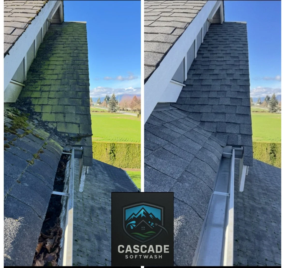 Roof cleaning/Moss removal