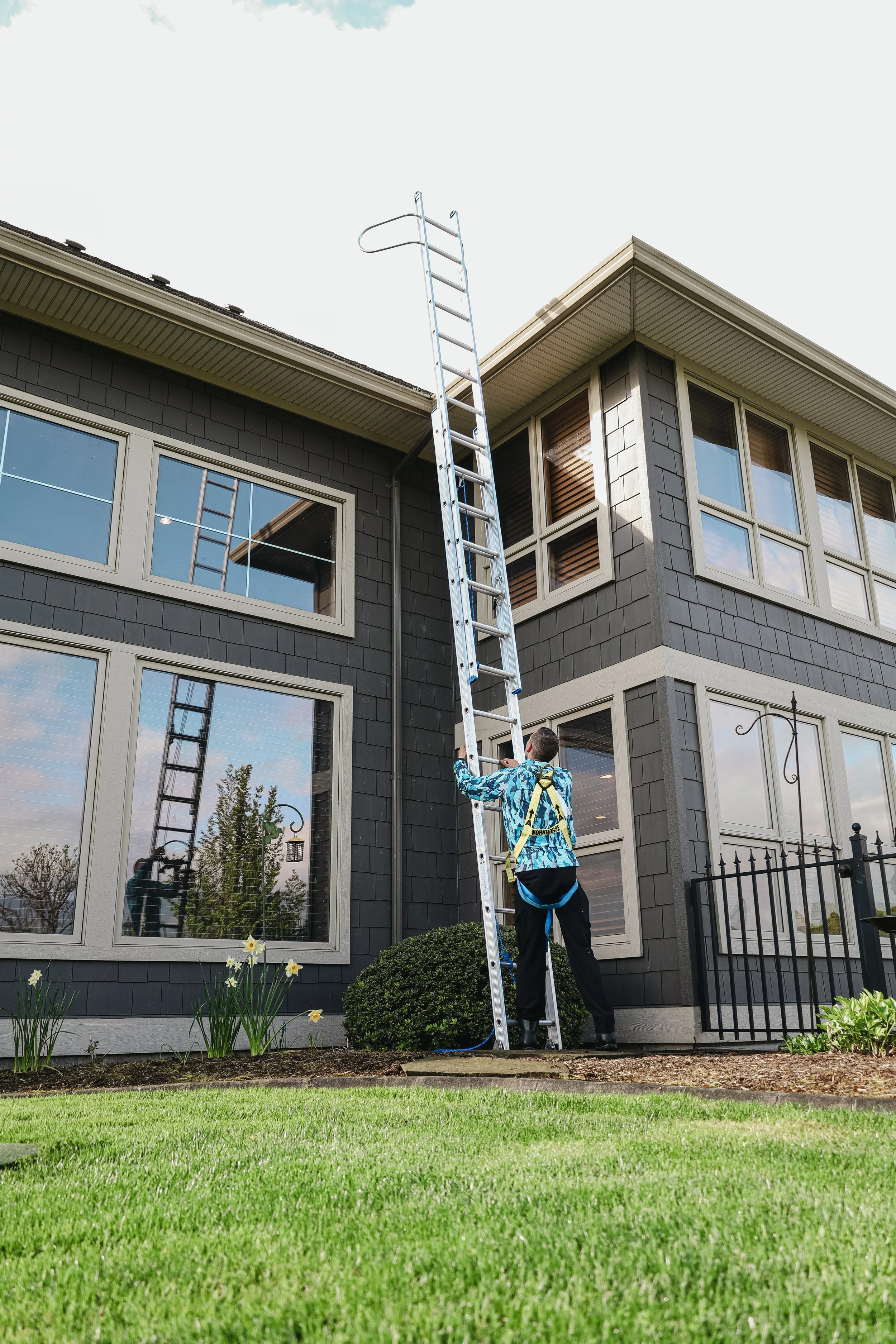 A man standing on the ground next to a tall extension ladder leaning against a modern house. The house has large windows, gray siding, and a corner with multiple windows. The man appears to be inspecting or preparing the ladder, which extends up towa