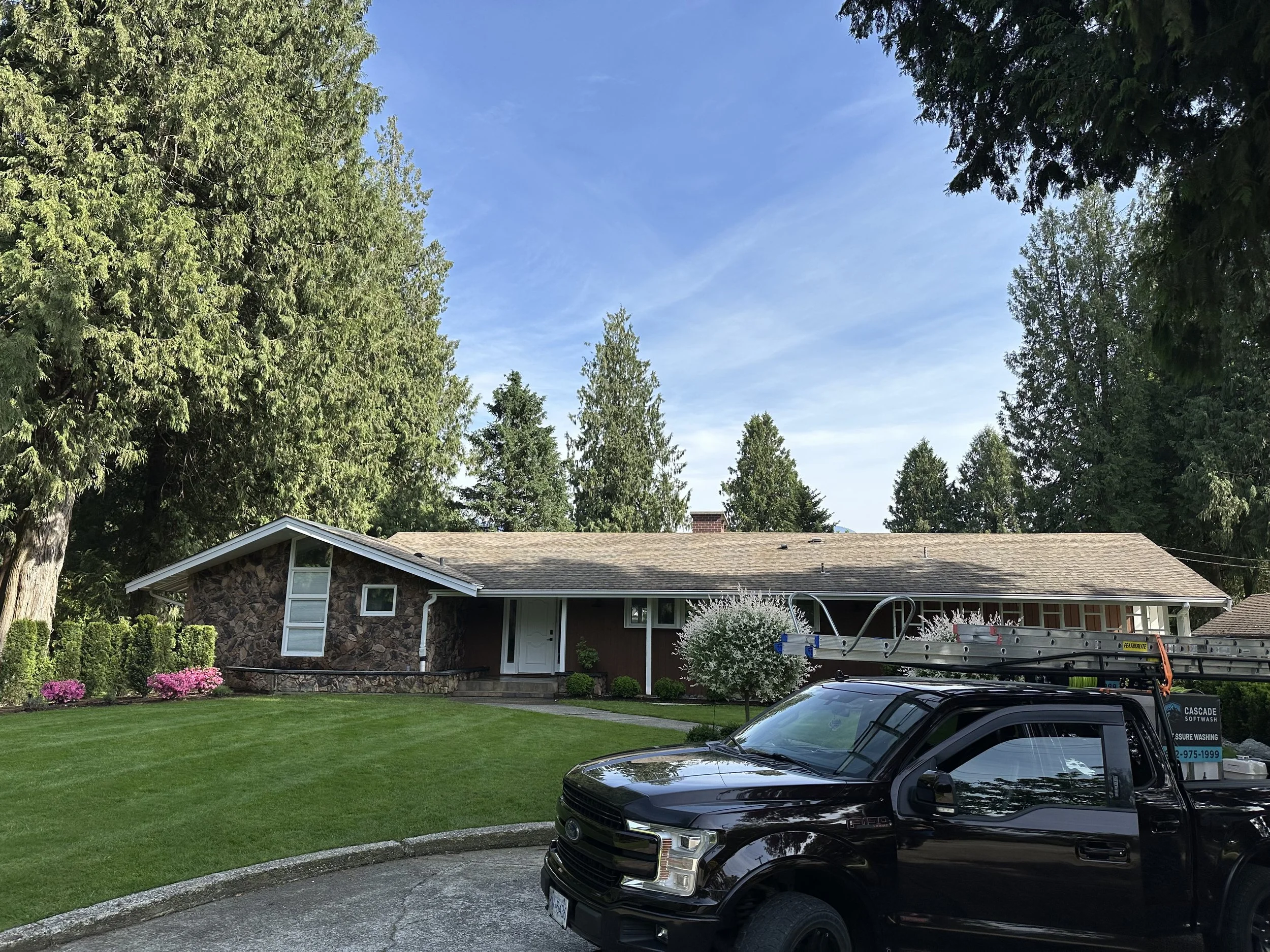 A suburban house with a stone exterior, surrounded by a well-maintained lawn, pink flowers, and tall green trees. There is a black car and a ladder in the driveway.