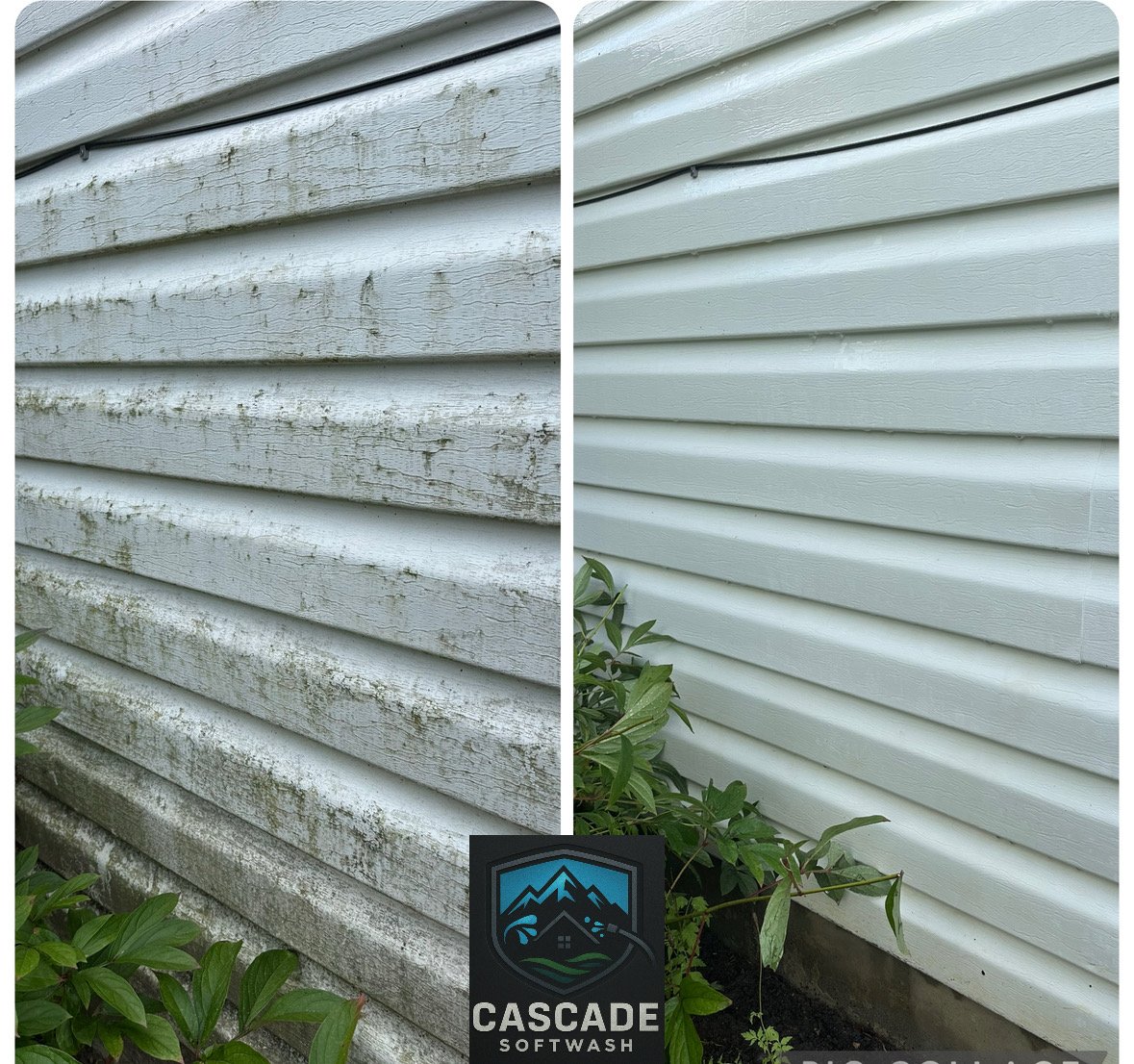 Comparison of a house siding before and after cleaning, with the left side showing dirty, moldy, and peeling siding, and the right side showing clean, fresh-looking siding. The bottom center features a logo for Cascade Softwash.