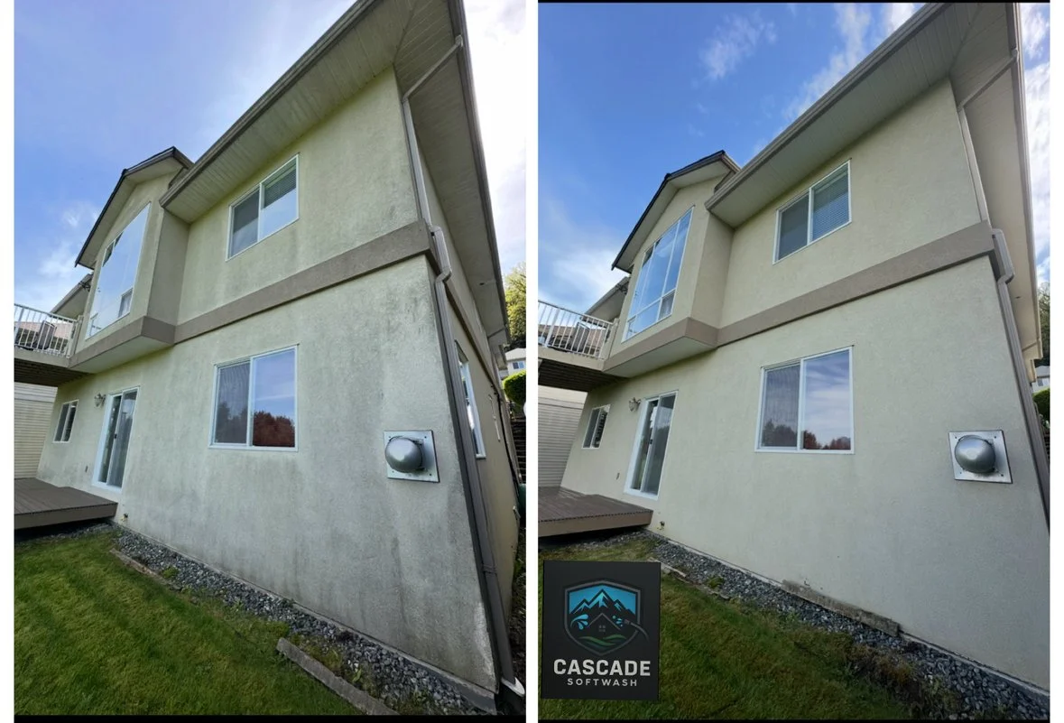 Side-by-side comparison of a house's exterior showing the cleaning results. The left side is dirtier with visible grime on the wall, while the right side is cleaner and brighter, indicating the use of softwash cleaning. The house has beige stucco sid