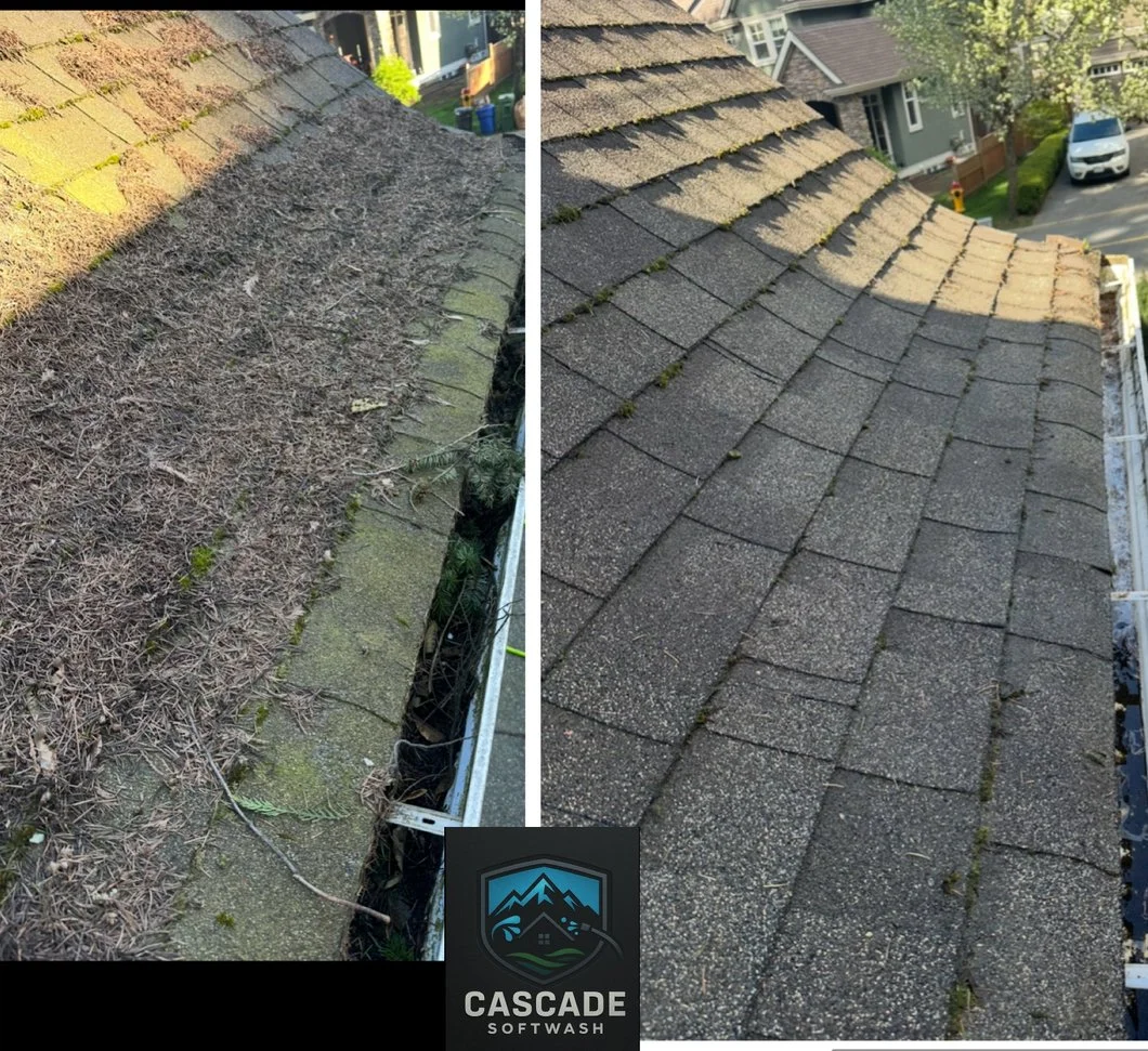 Side-by-side comparison of a roof before and after cleaning. The before image shows a roof covered in dried leaves, dirt, and moss, while the after image shows a clean, moss-free shingle roof.