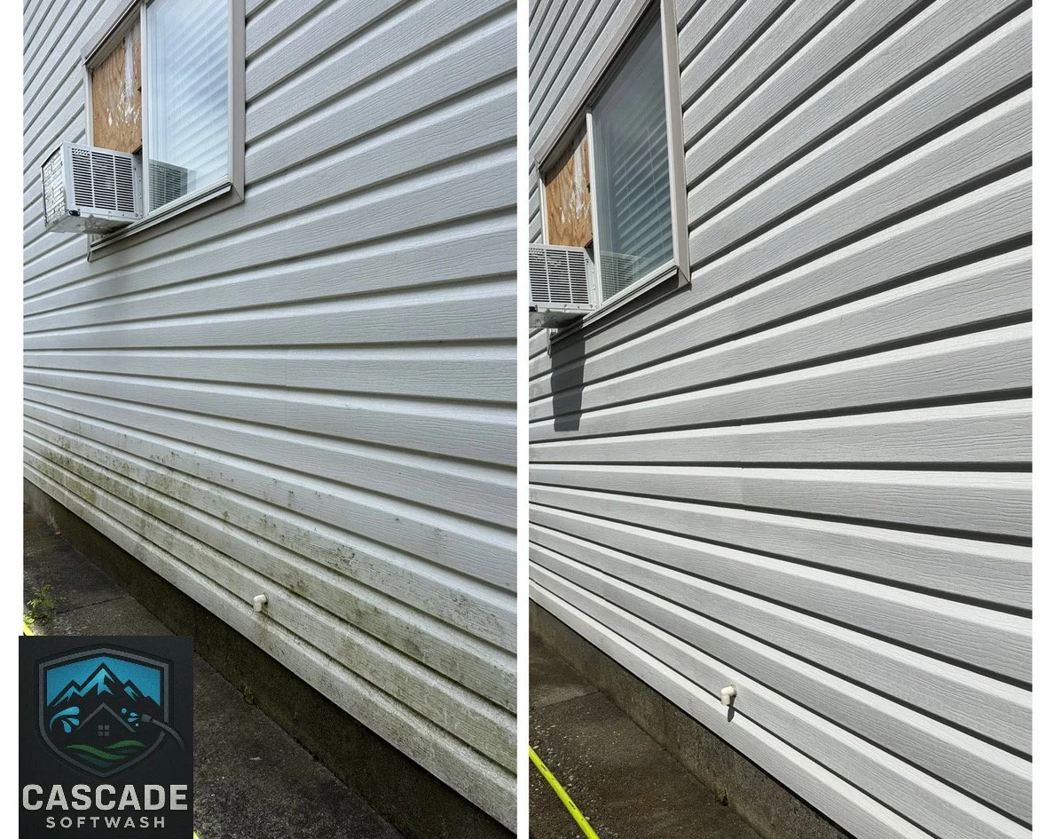 Comparison of house siding before and after power washing, showing cleaner, brighter siding after cleaning with Cascade SoftWash.