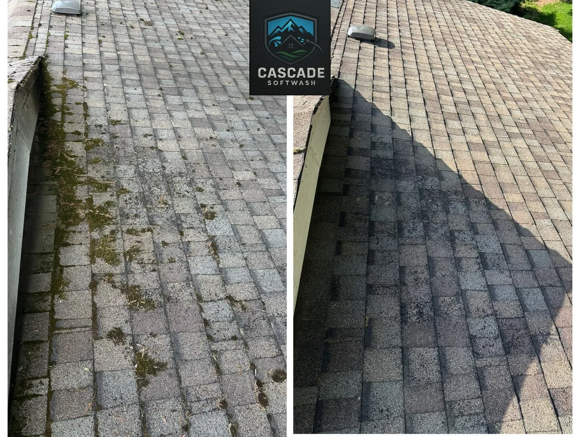 Comparison of a dirty, moss-covered brick pathway and a clean, moss-free brick pathway, showing the cleaning results after using Cascade Softwash.