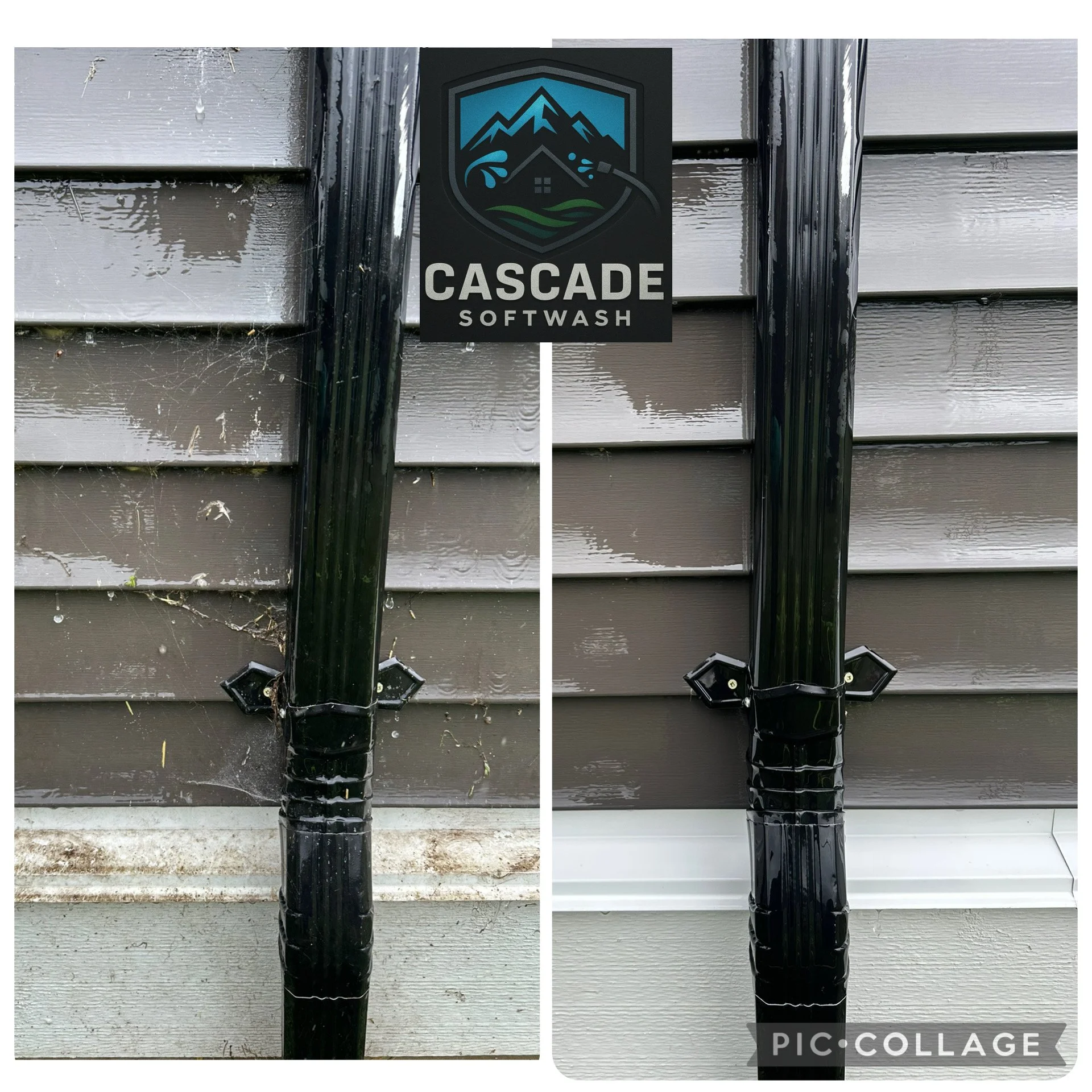Comparison of wet and dry siding, with a Cascade Softwash logo in the center.
