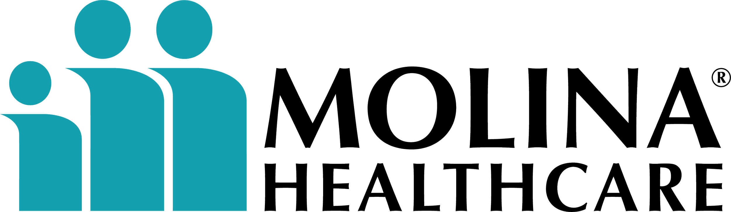 Molina Healthcare logo with three stylized teal figures and the company name in black.