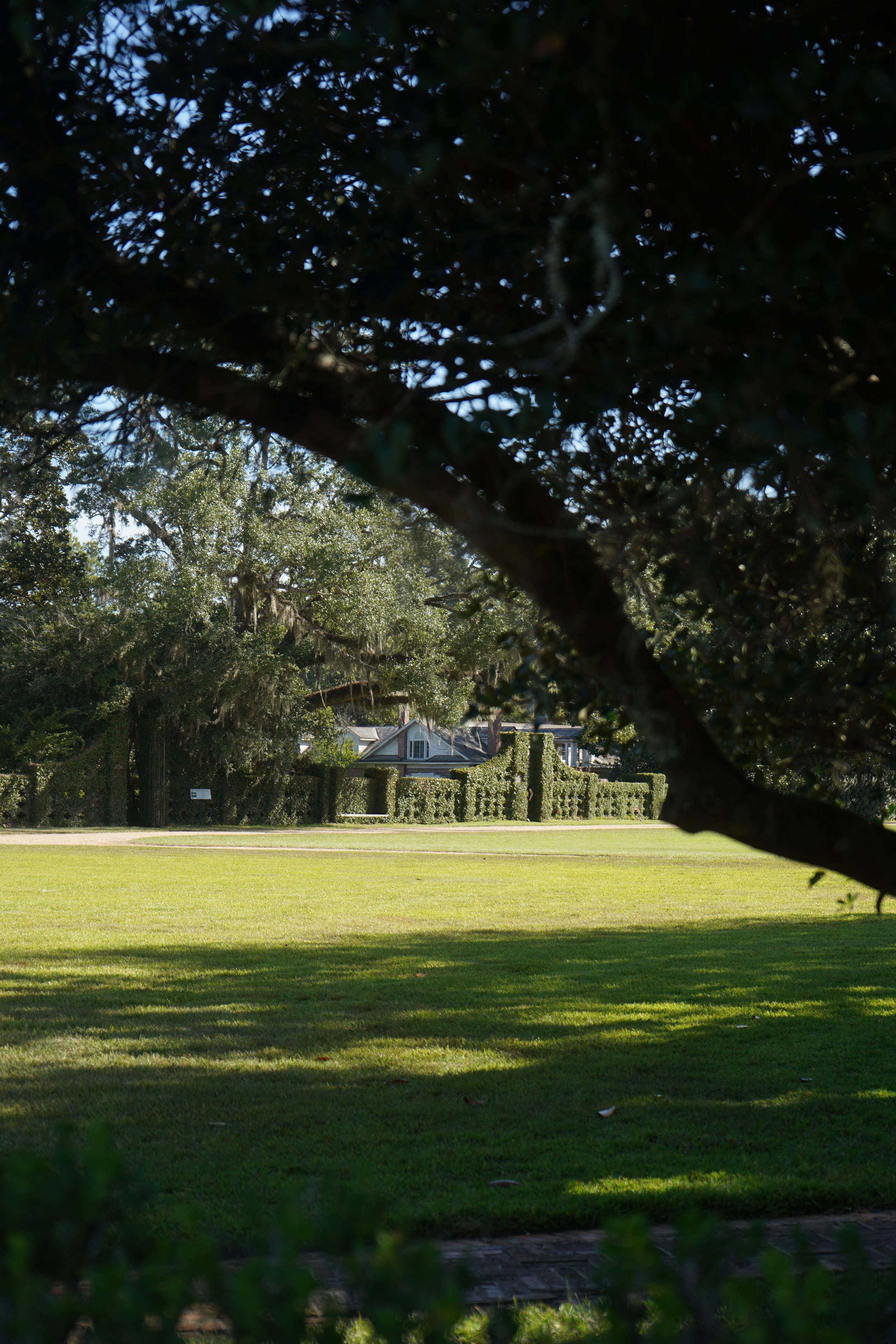 A park view with a large, grassy lawn in the foreground, trees and shrubbery along the middle ground, and houses with gabled roofs in the background, framed by dark tree branches in the upper part of the image.