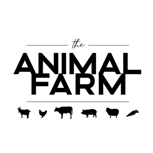 Silhouette of a ballerina in a dance pose with arms raised and graceful posture, against a plain white background.