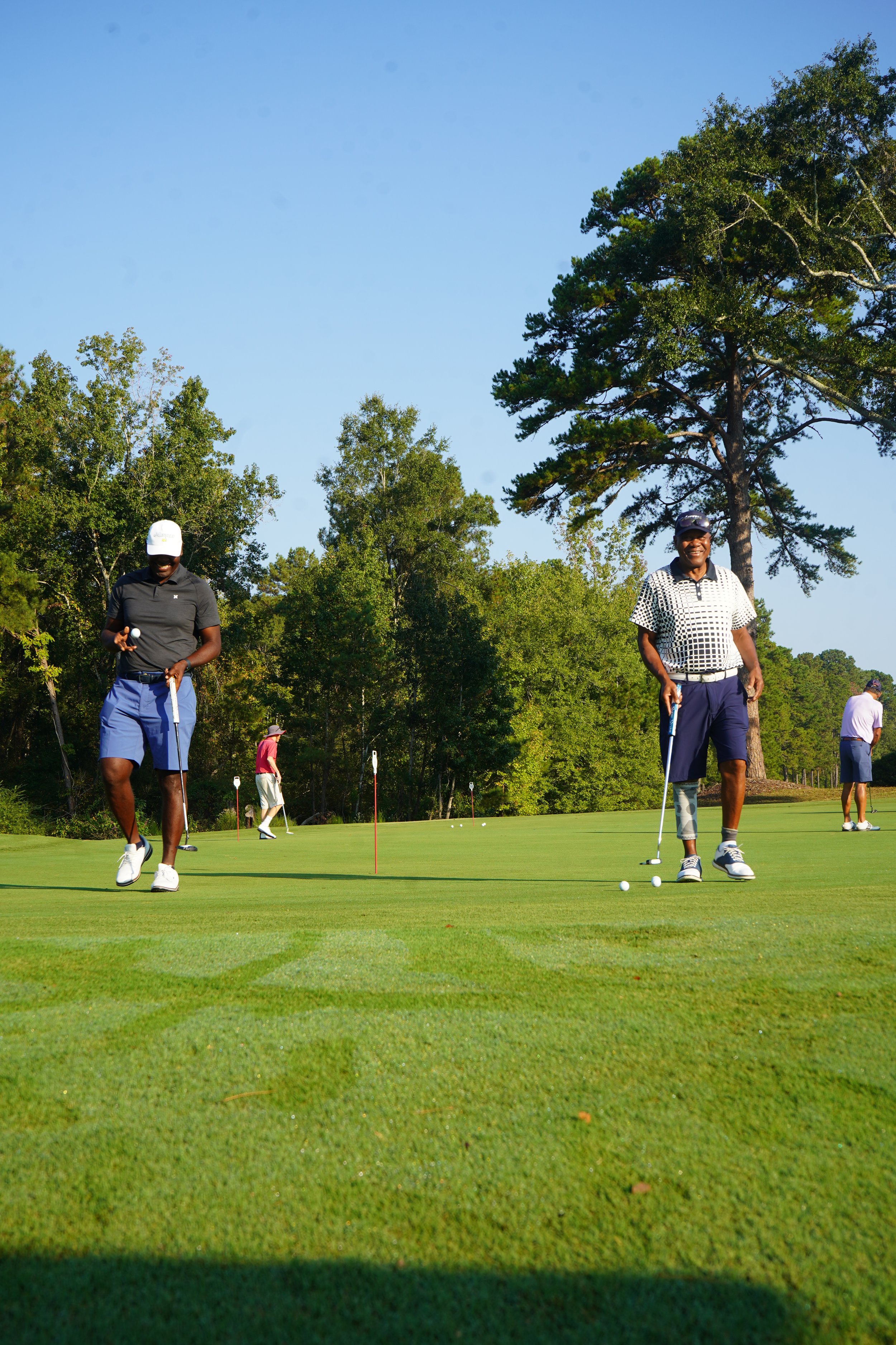 People playing golf on a golf course with trees in the background under a clear blue sky.