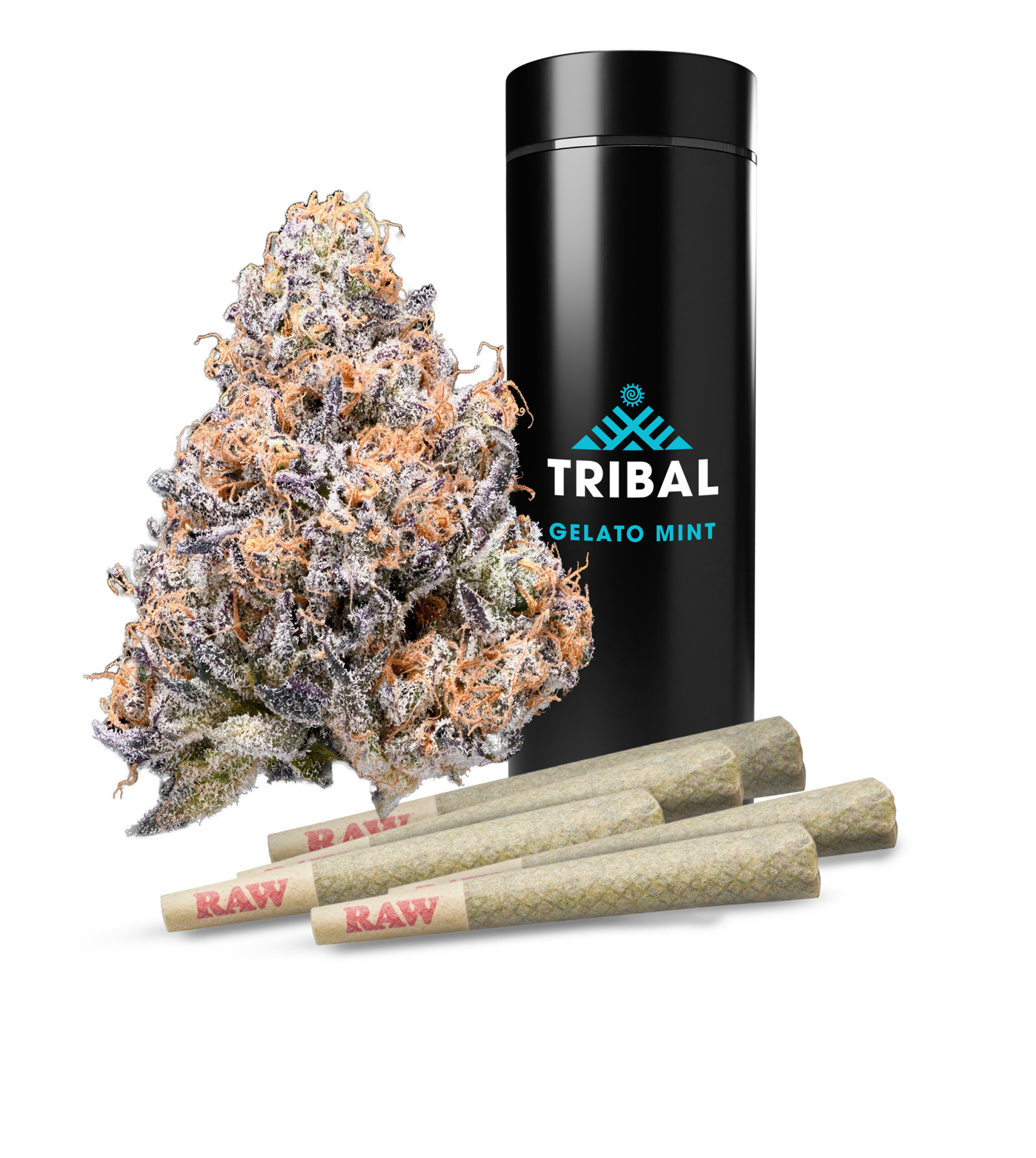 TRIBAL | COMING SOON