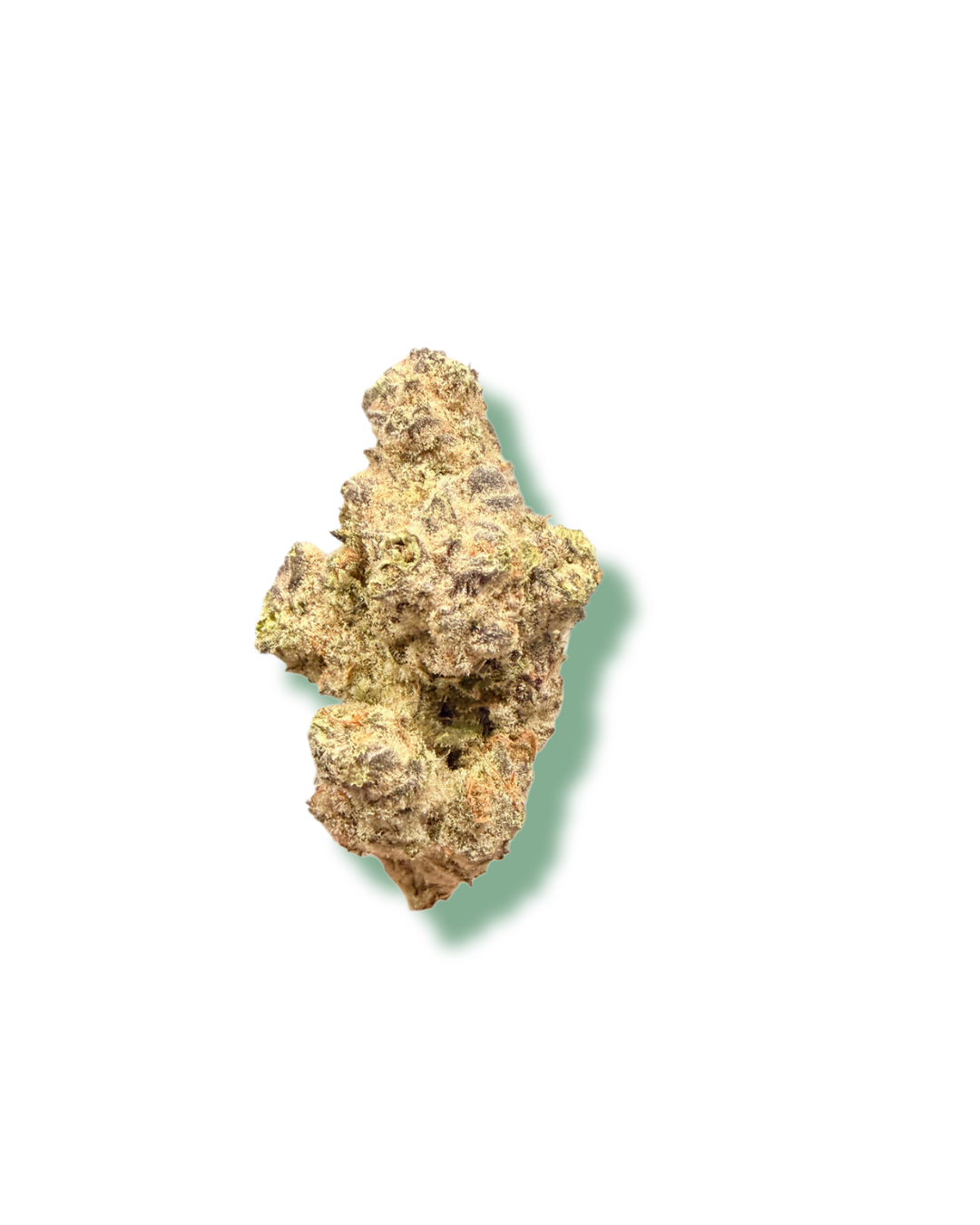 MR. NICE GUY 🙂_20260401_220553_0001.png