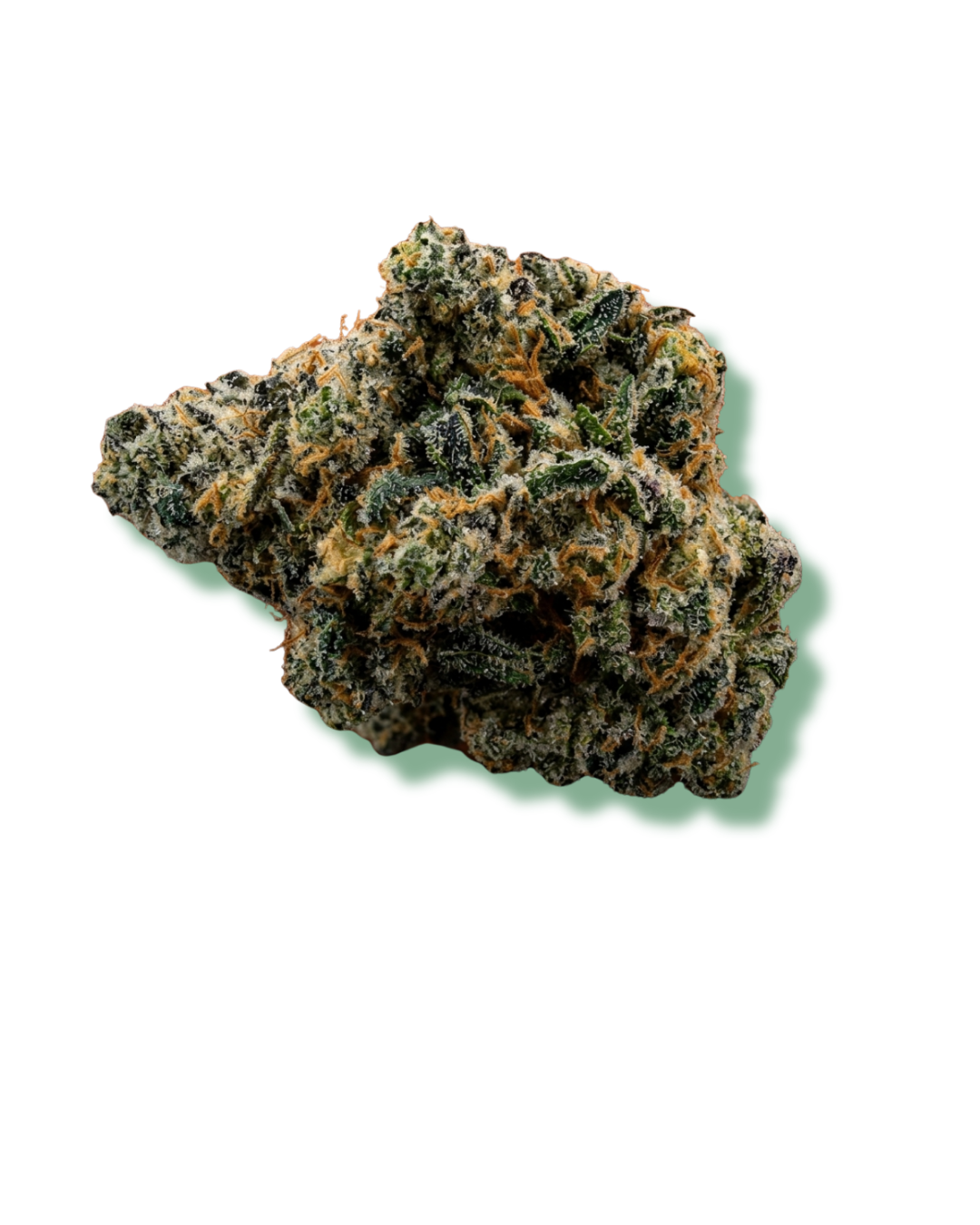 MR. NICE GUY 🙂_20260404_134606_0000.png