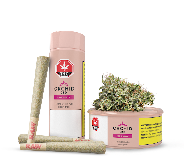 ORCHID | COMING SOON