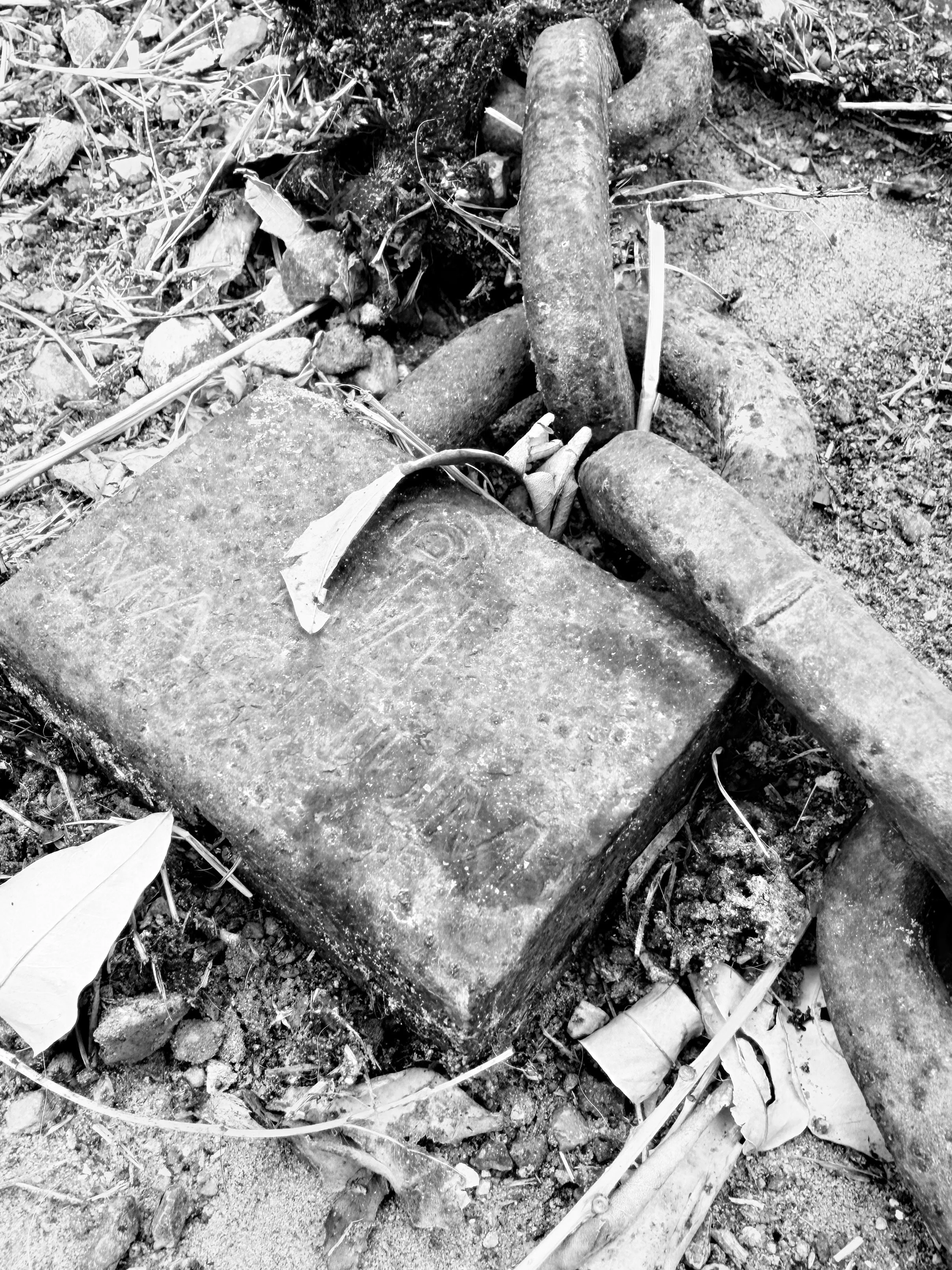 Old rusty metal pipe, pipe fitting, and debris on the ground surrounded by leaves, twigs, and dirt.