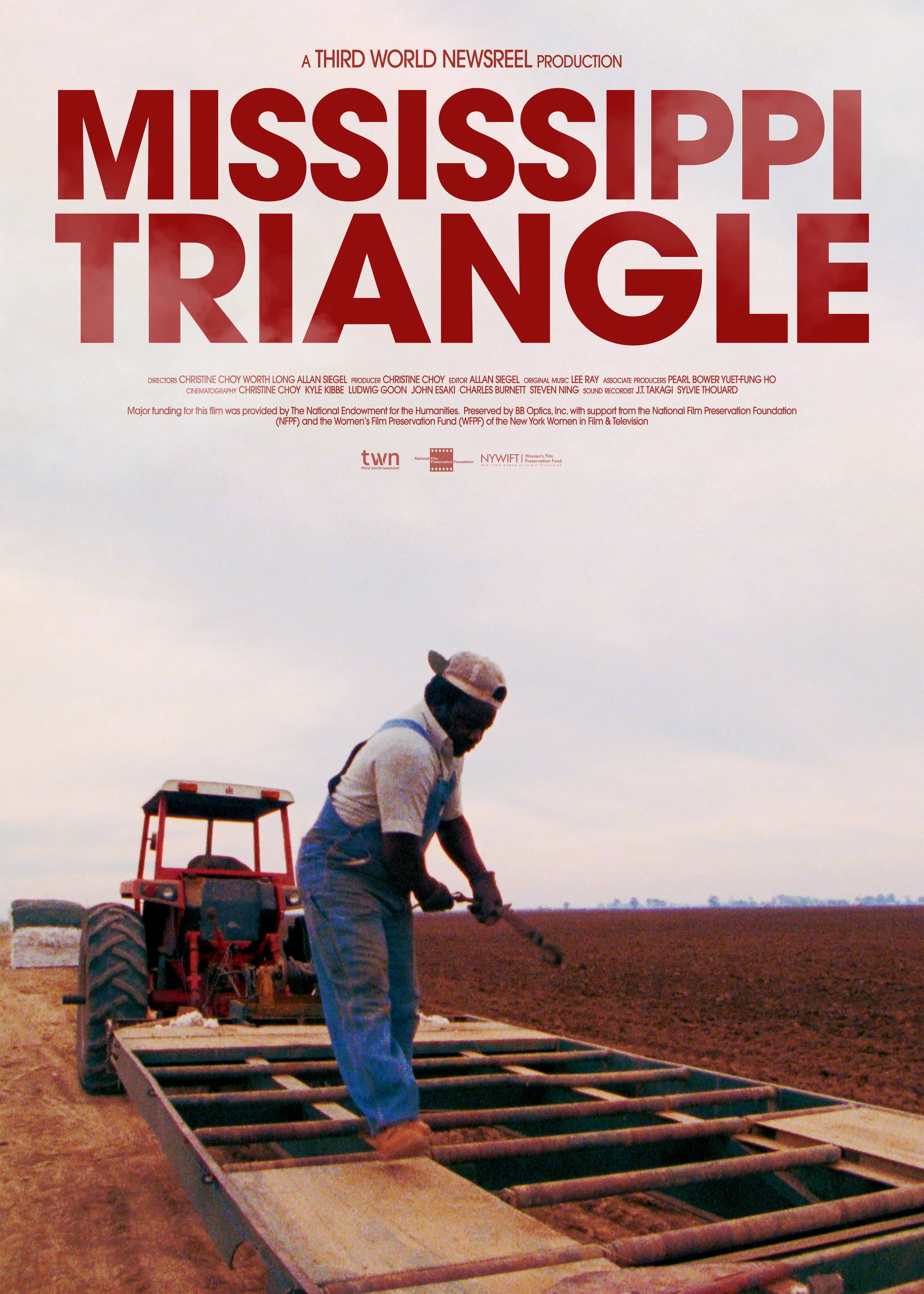 mississippi-triangle-design-11.jpg
