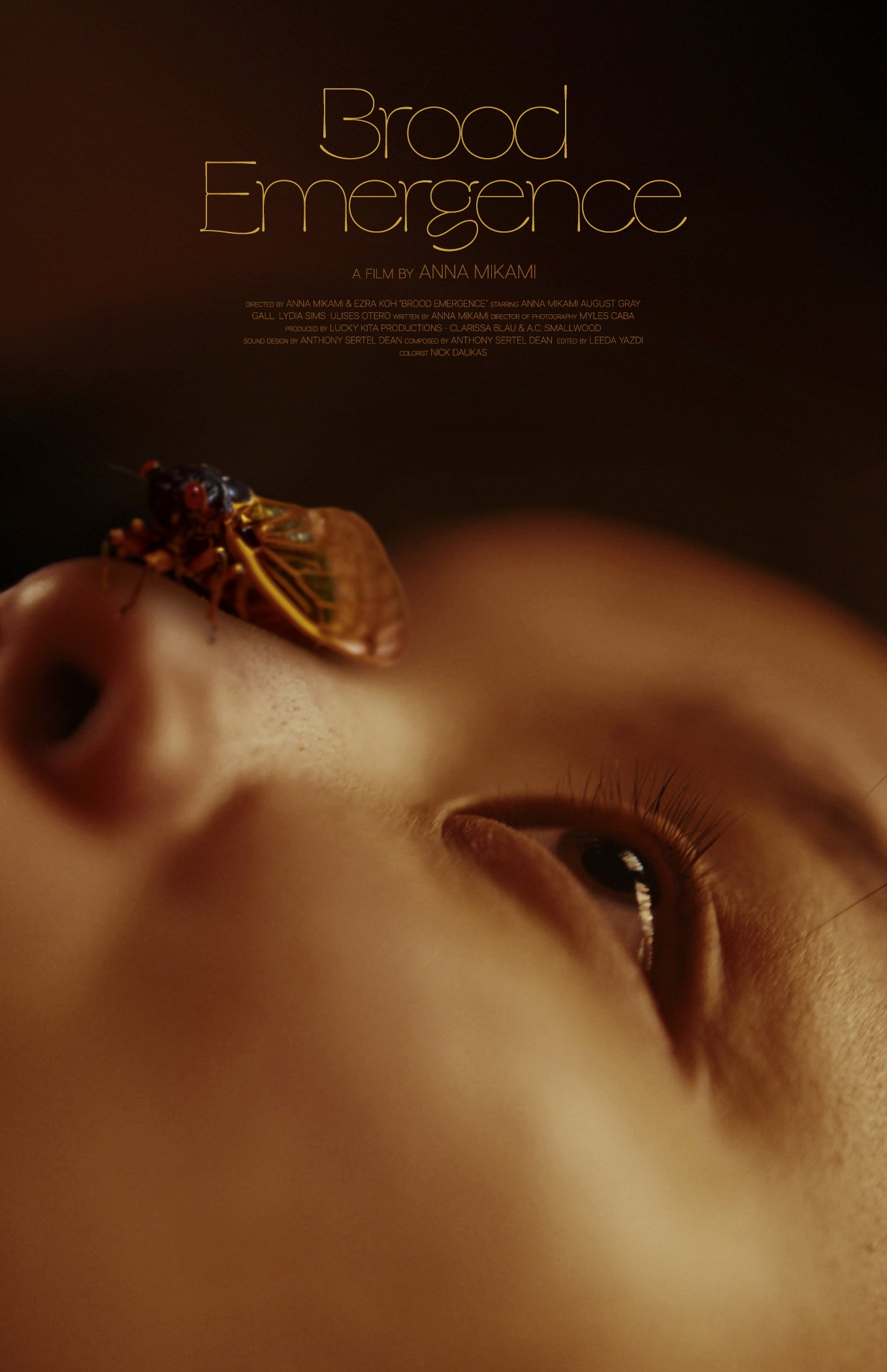 Brood-Emergence-Design-1-11x17.jpg