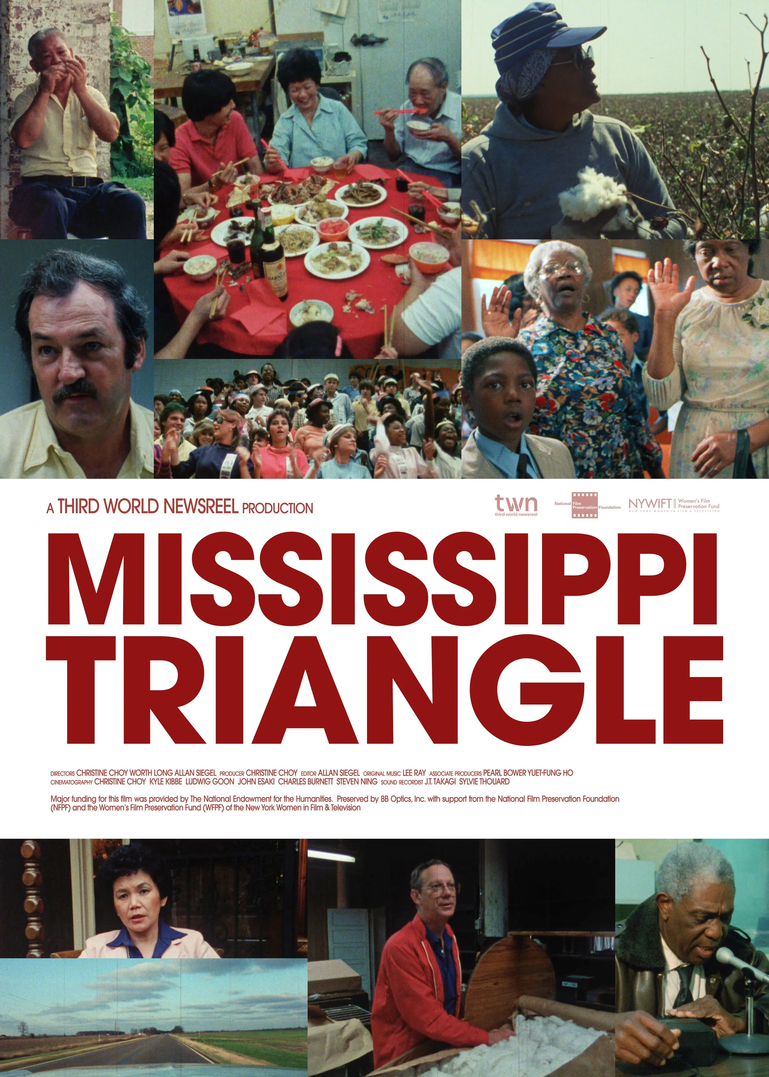 mississippi-triangle-design-7-3.jpg