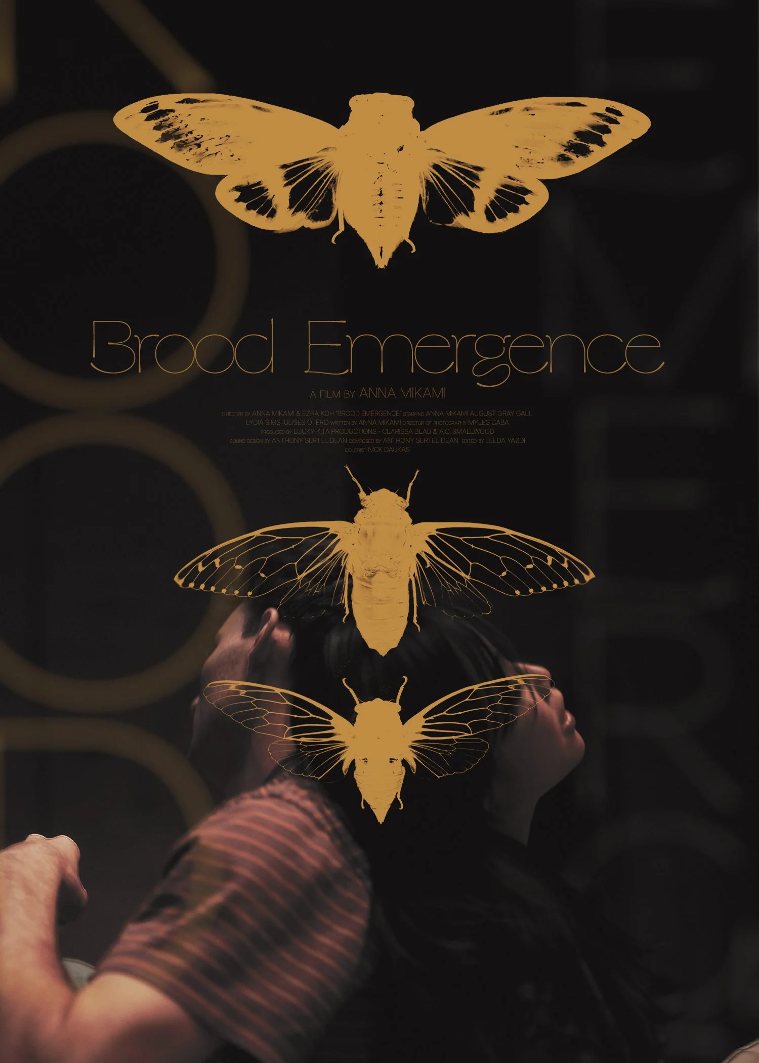 Brood-Emergence-Design-9.jpg
