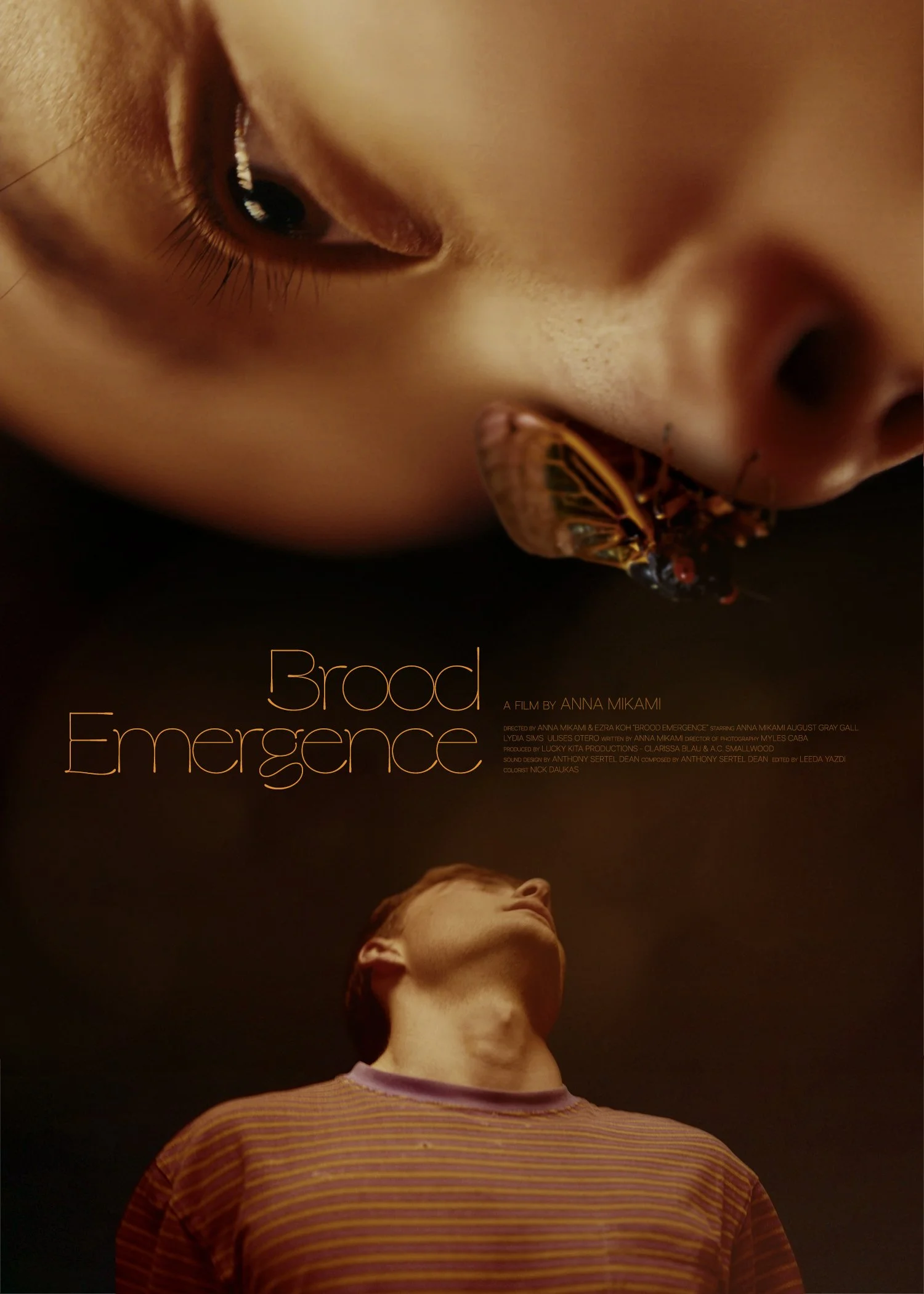 Brood-Emergence-Design-2.jpg
