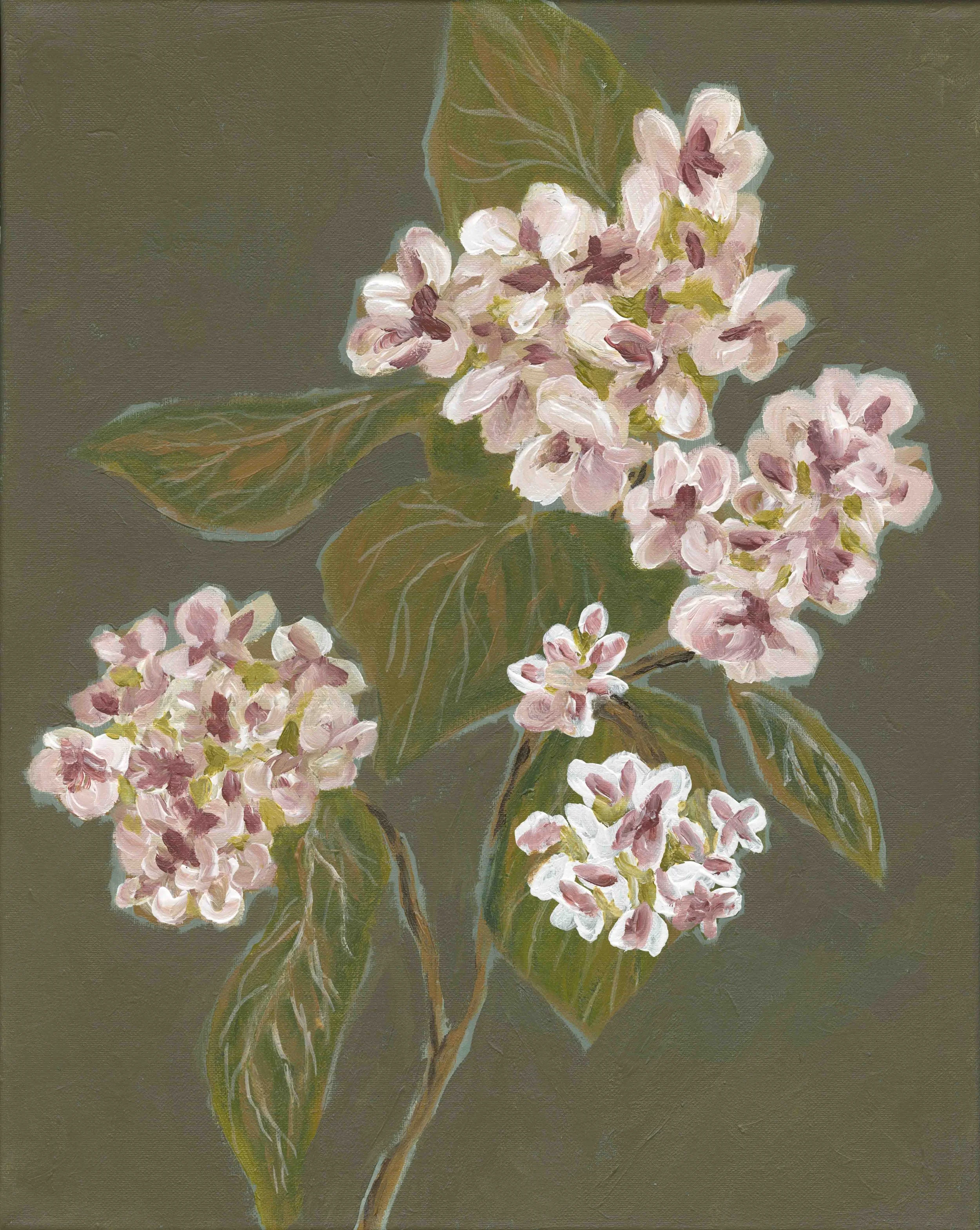 hydrangea low res.jpg