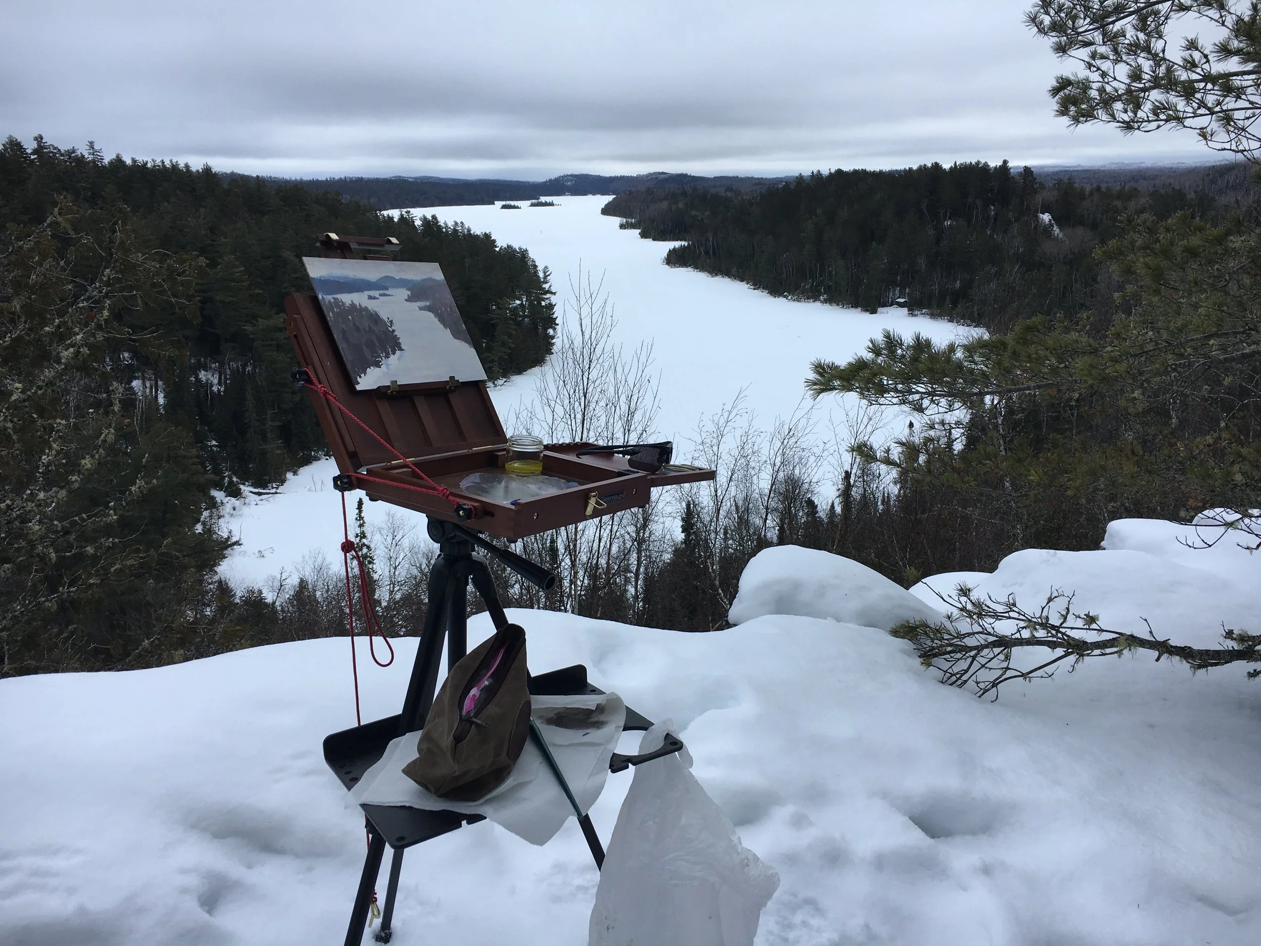 2017-01-25 11.59.07.jpg