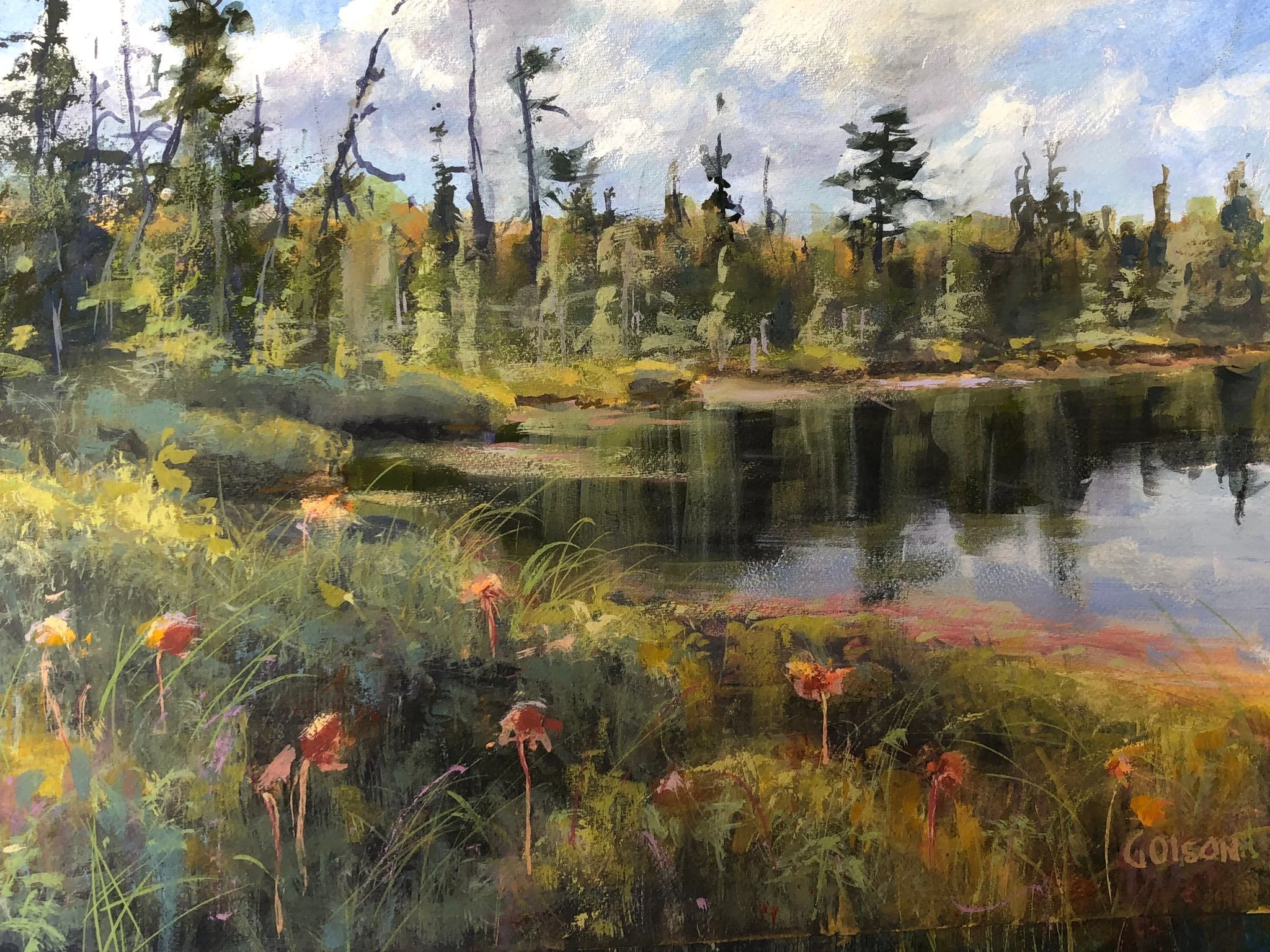 Gary Olson "Pitcher Plants"