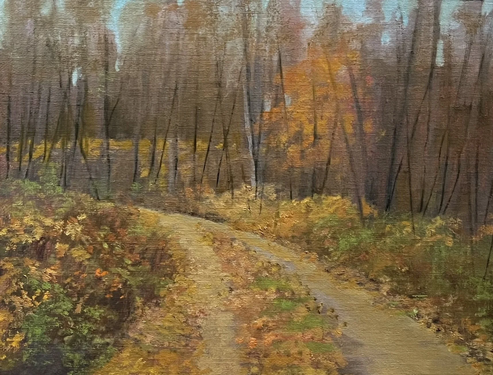 Patricia Duncan "Inner Harvest"