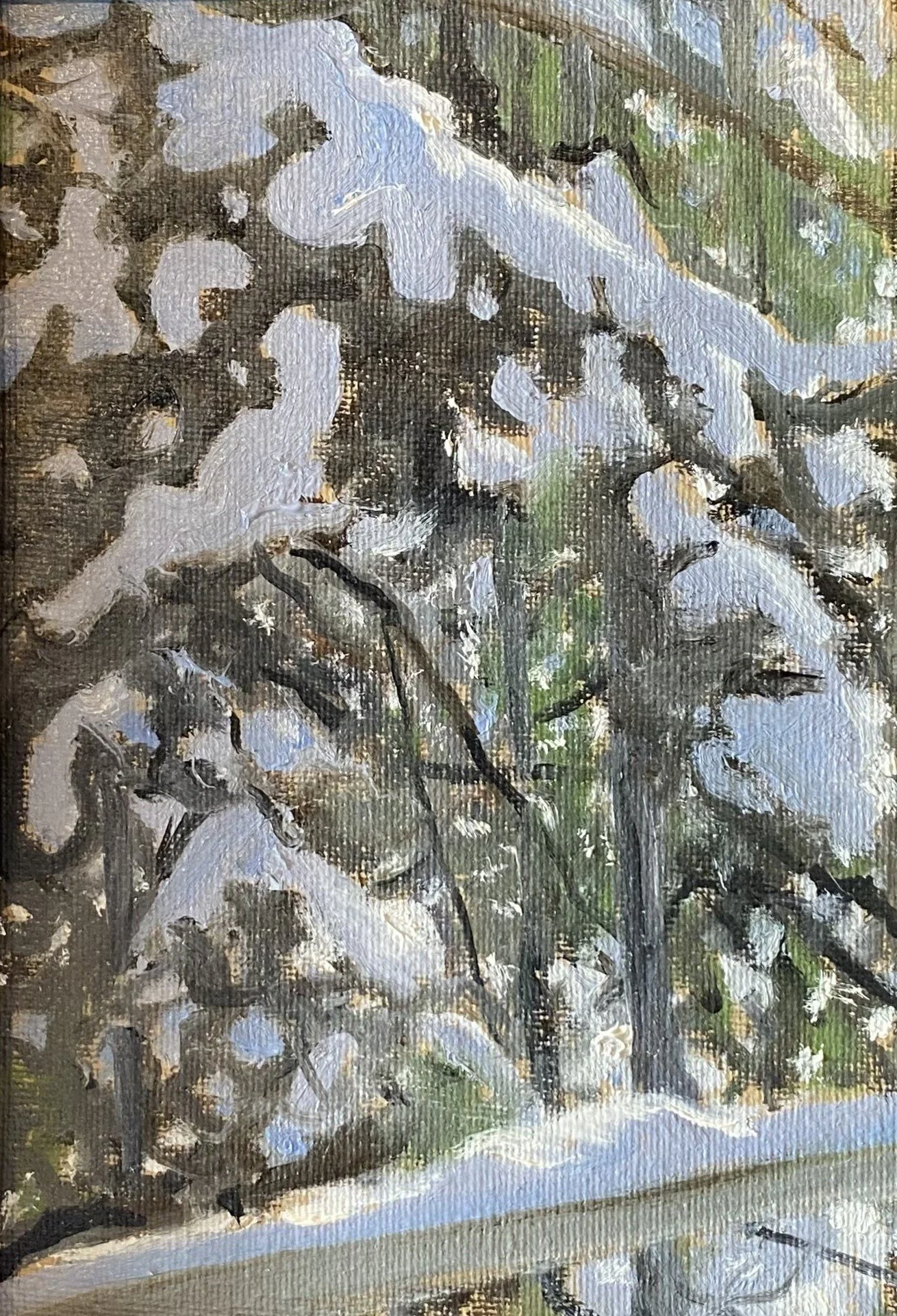 Stephen Herzog "Bough Down"