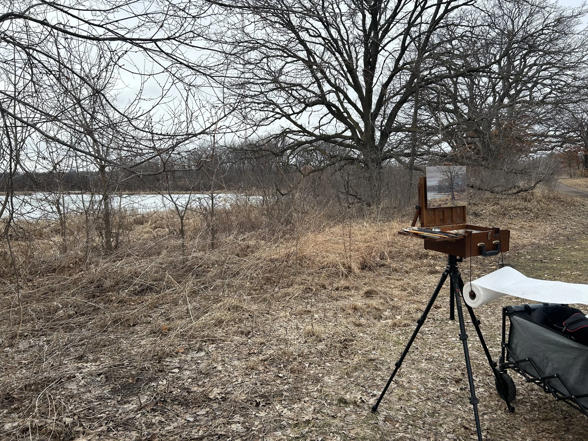 Paint-Out at Snail Lake Regional Park