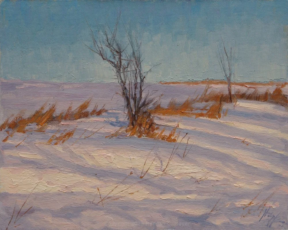 Hannah C. Heyer "March Snow Drifts"