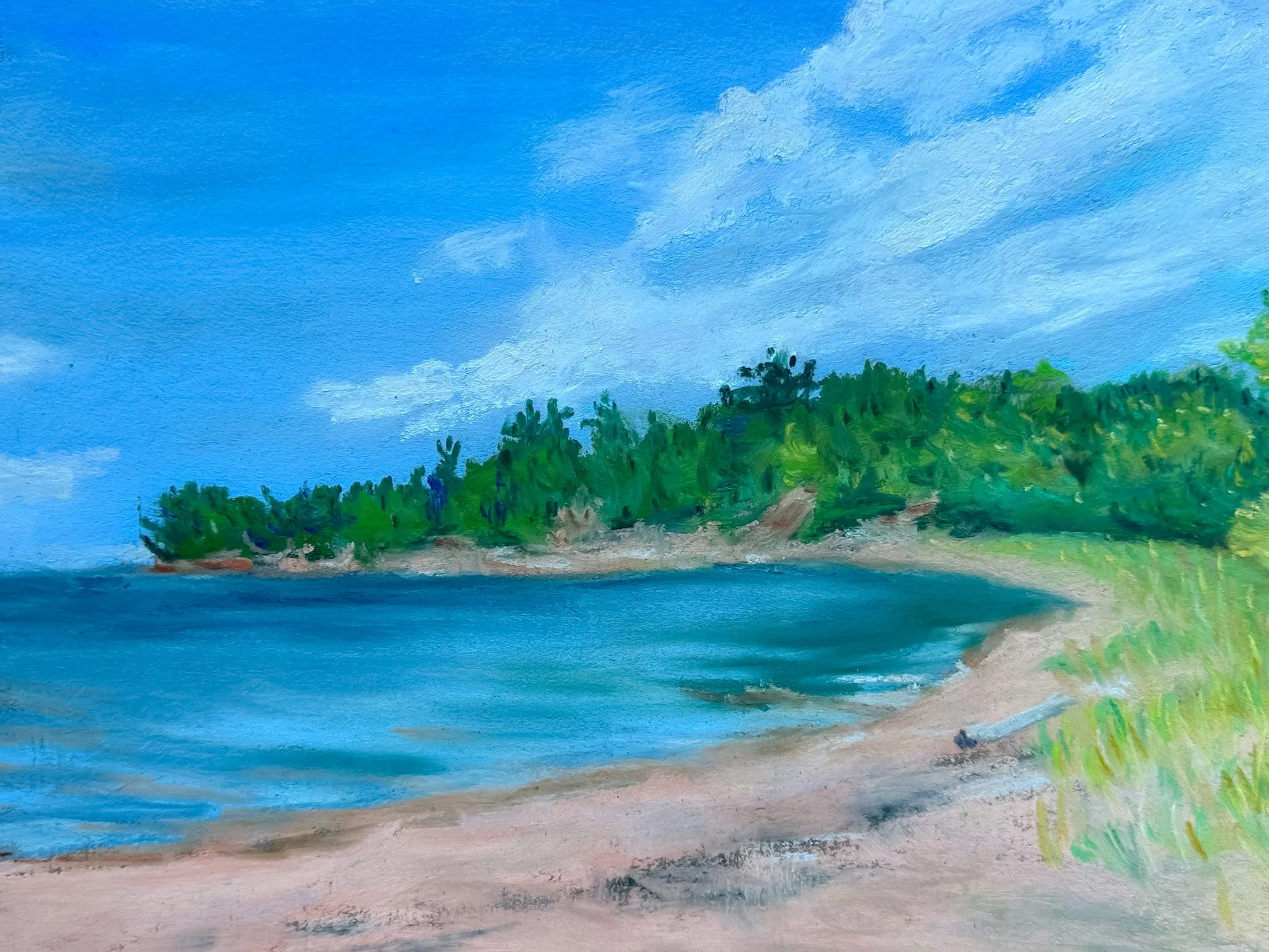 Andrea Pokrzywinski "Cornucopia Beach"