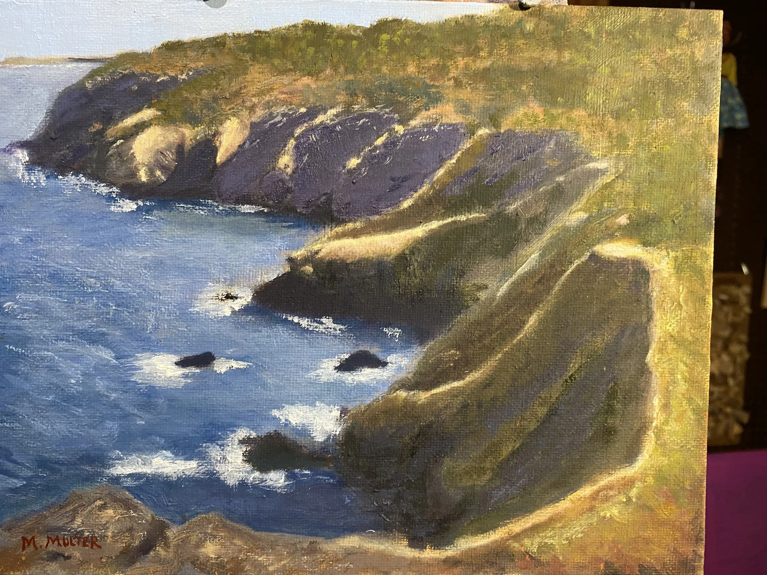 Mitch Multer "Newfoundland Cliffs"