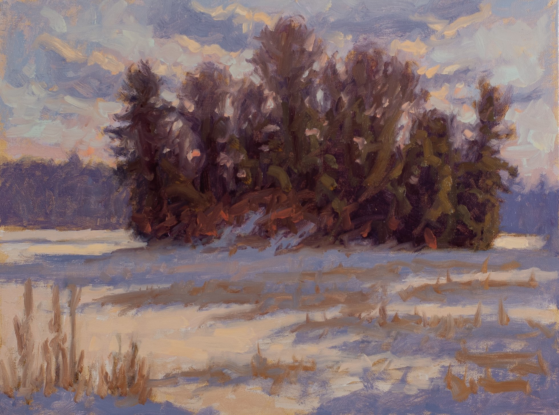 David Peacock "Island on Tomahawk Lake"