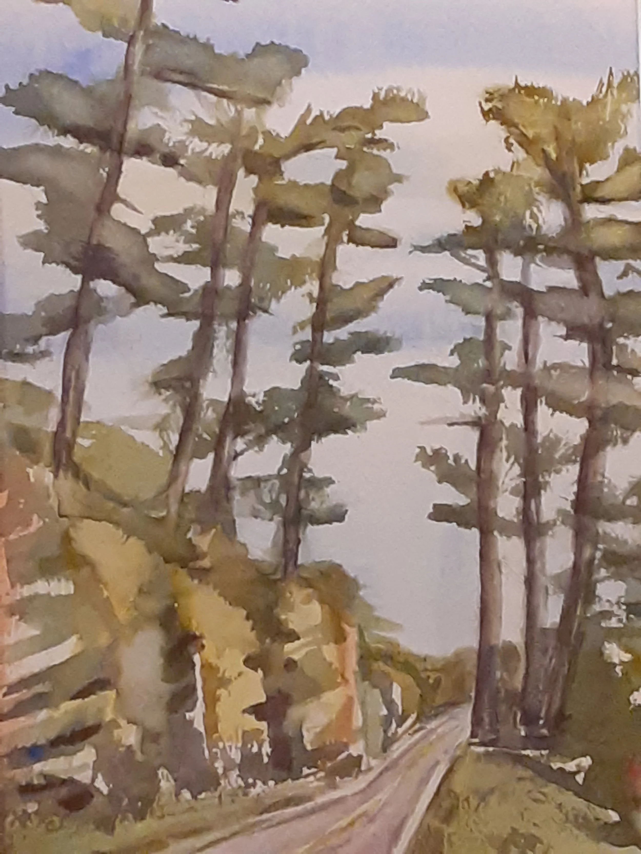 Sandra Maxwell "Gateway Pines"