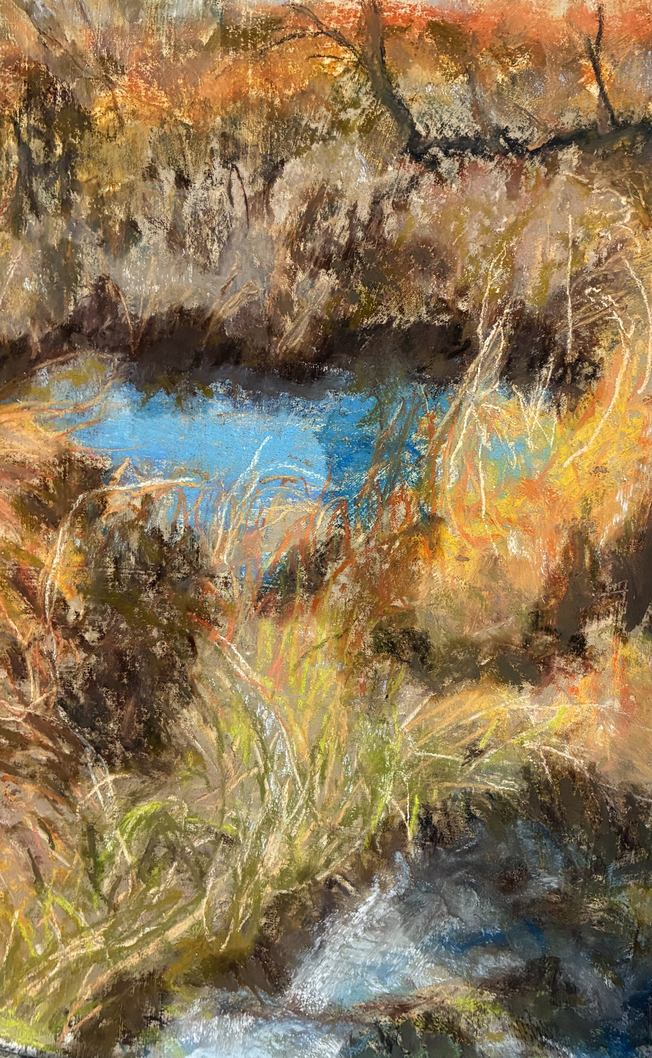 Dawn Lees "Changing Seasons"