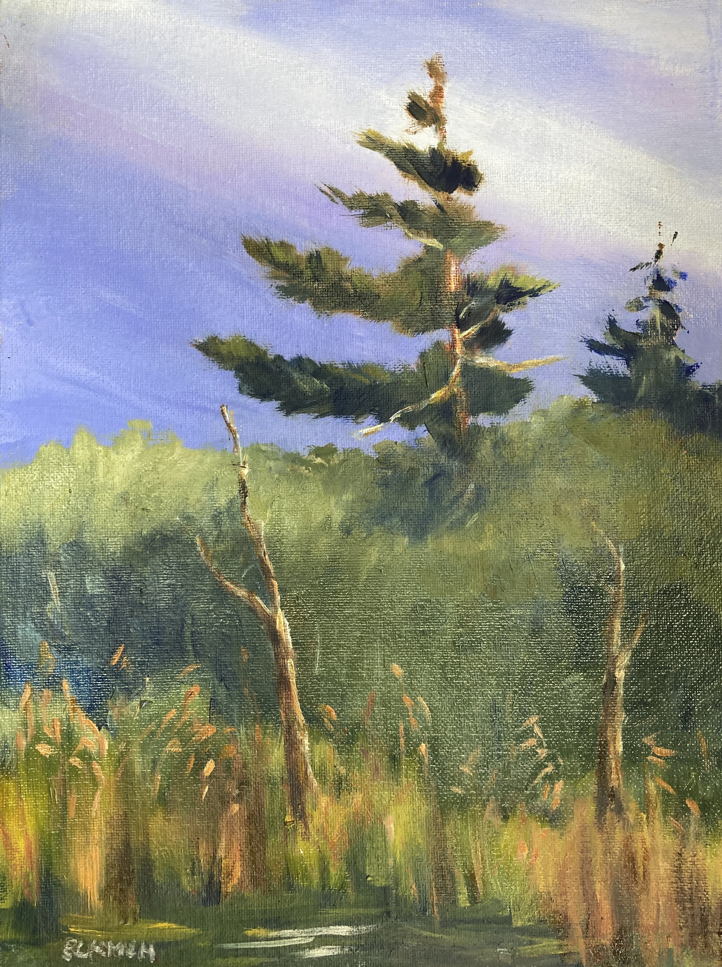 Karlyn Eckman - Untitled