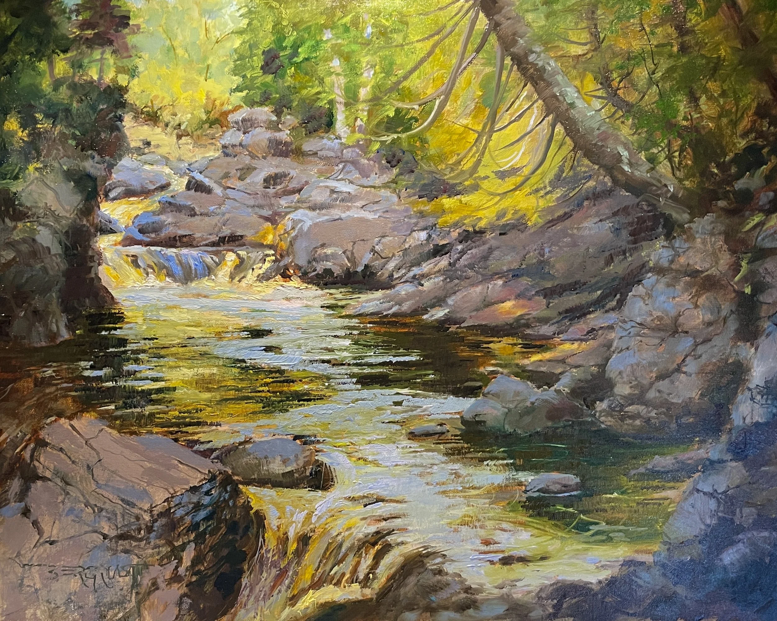 Paul Bergquist - POEM Award - Cascade River