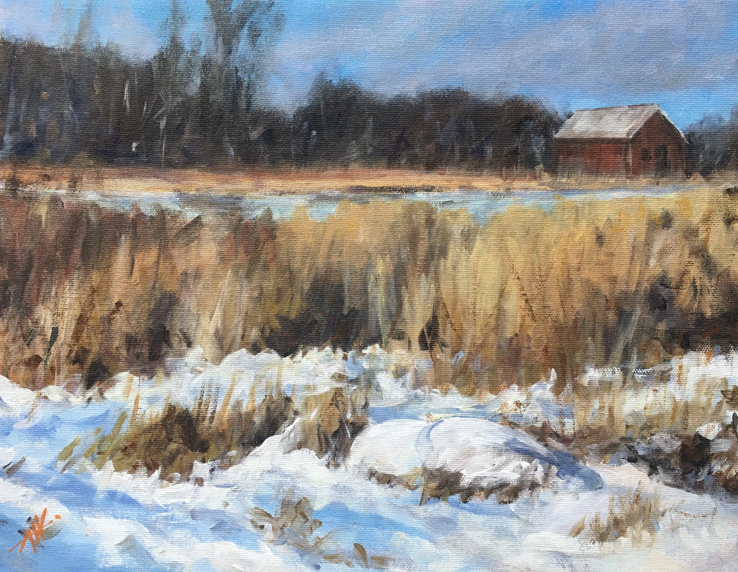 Art Weeks "Snow Pillows"