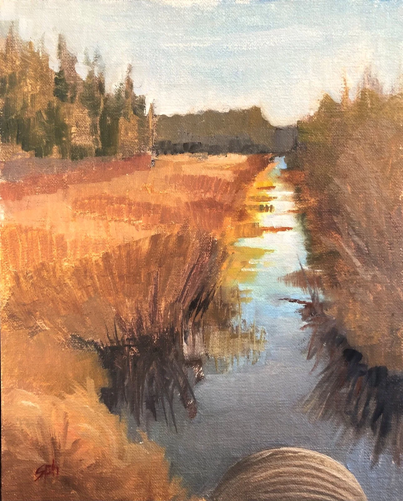 Susan Hayden "Draining the Bog"