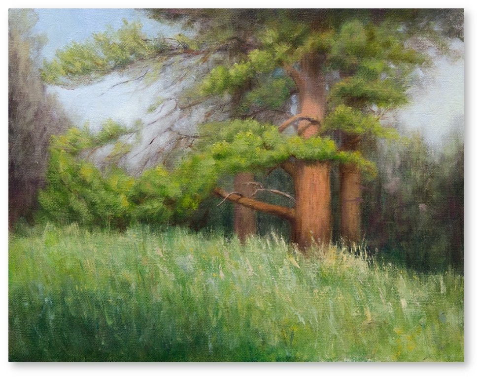 Jeanne Knight "Morning Light"