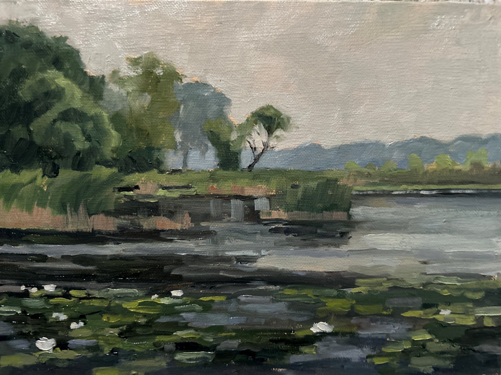 Pam Kurtz "Smoky Skies"