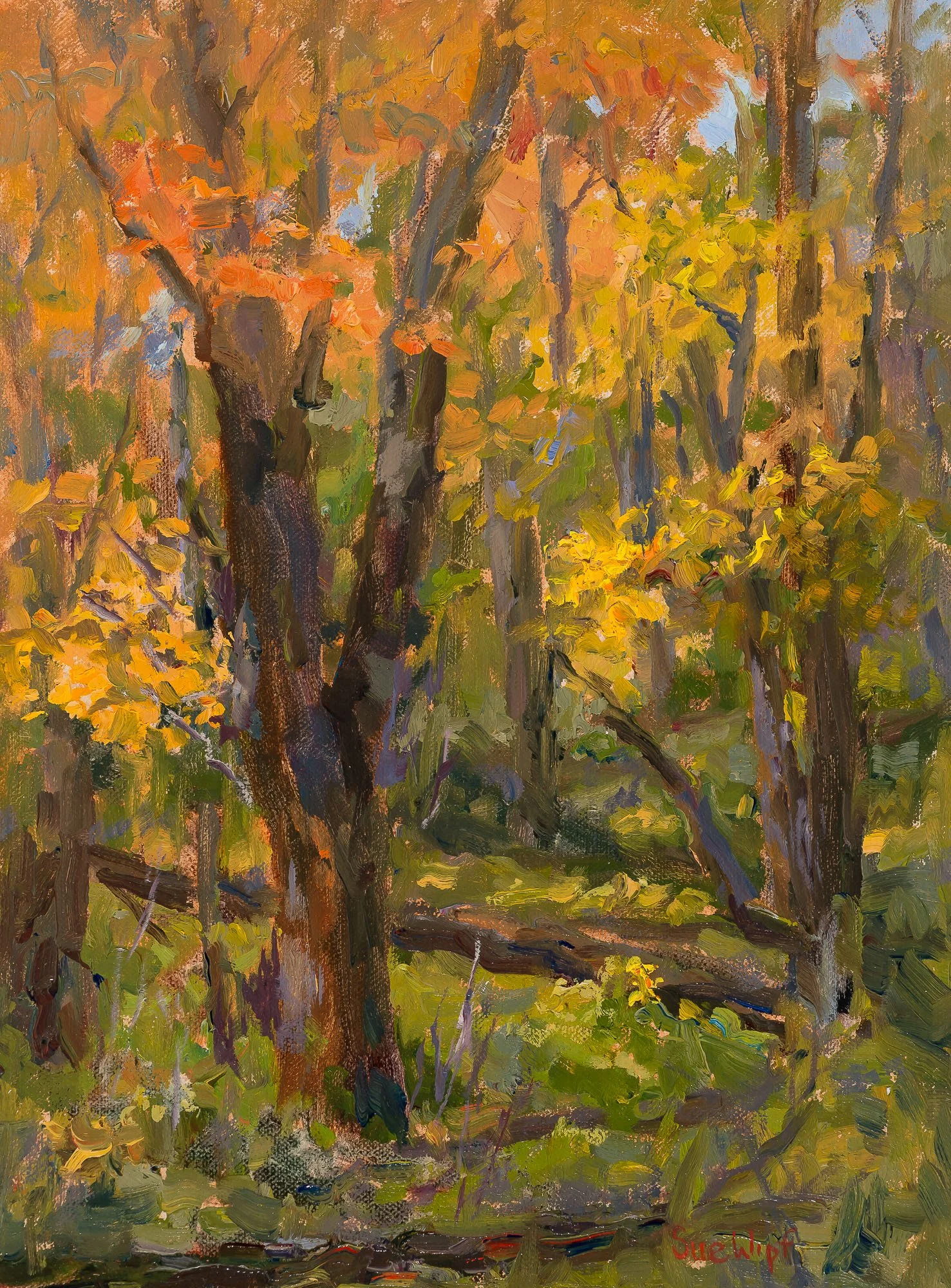 Sue Wipf "Maria State Park Autumn"
