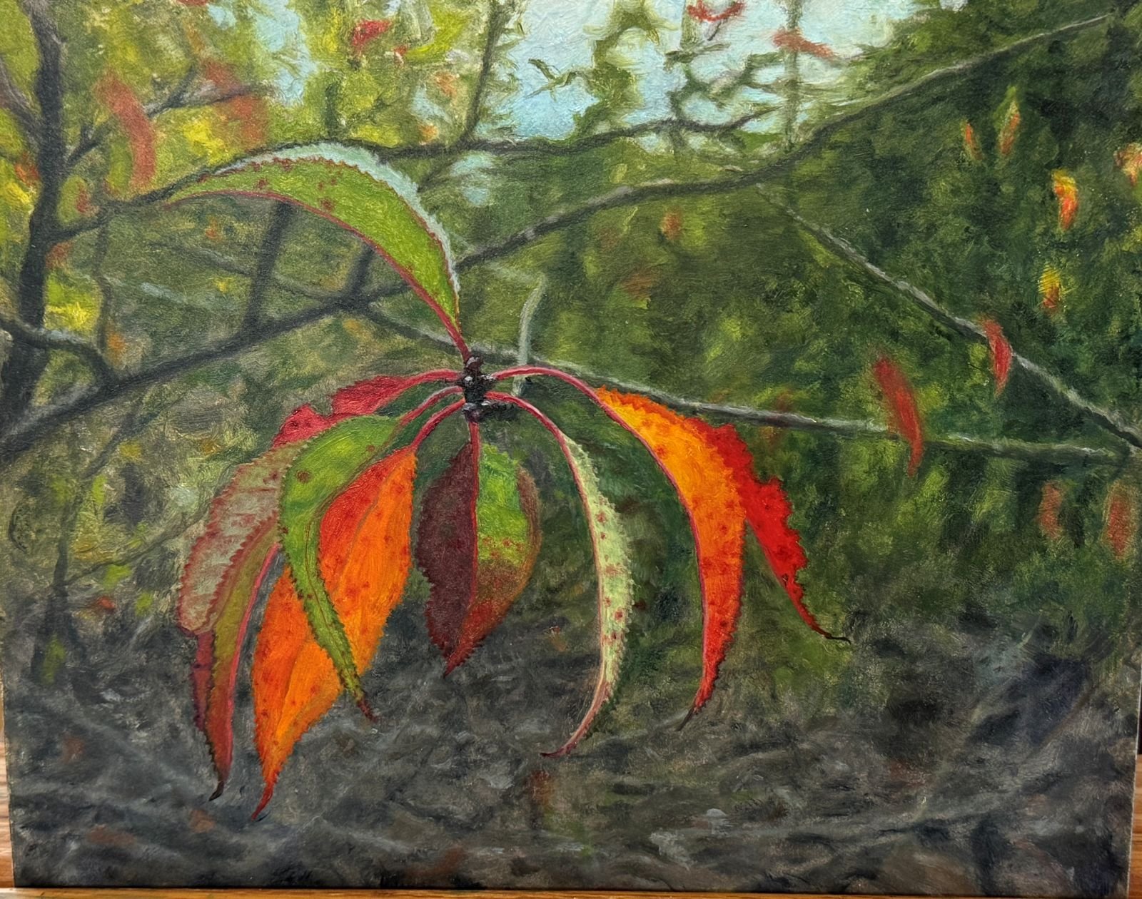 Kristin Cheronis "Pin Cherry at Cloud Bay"