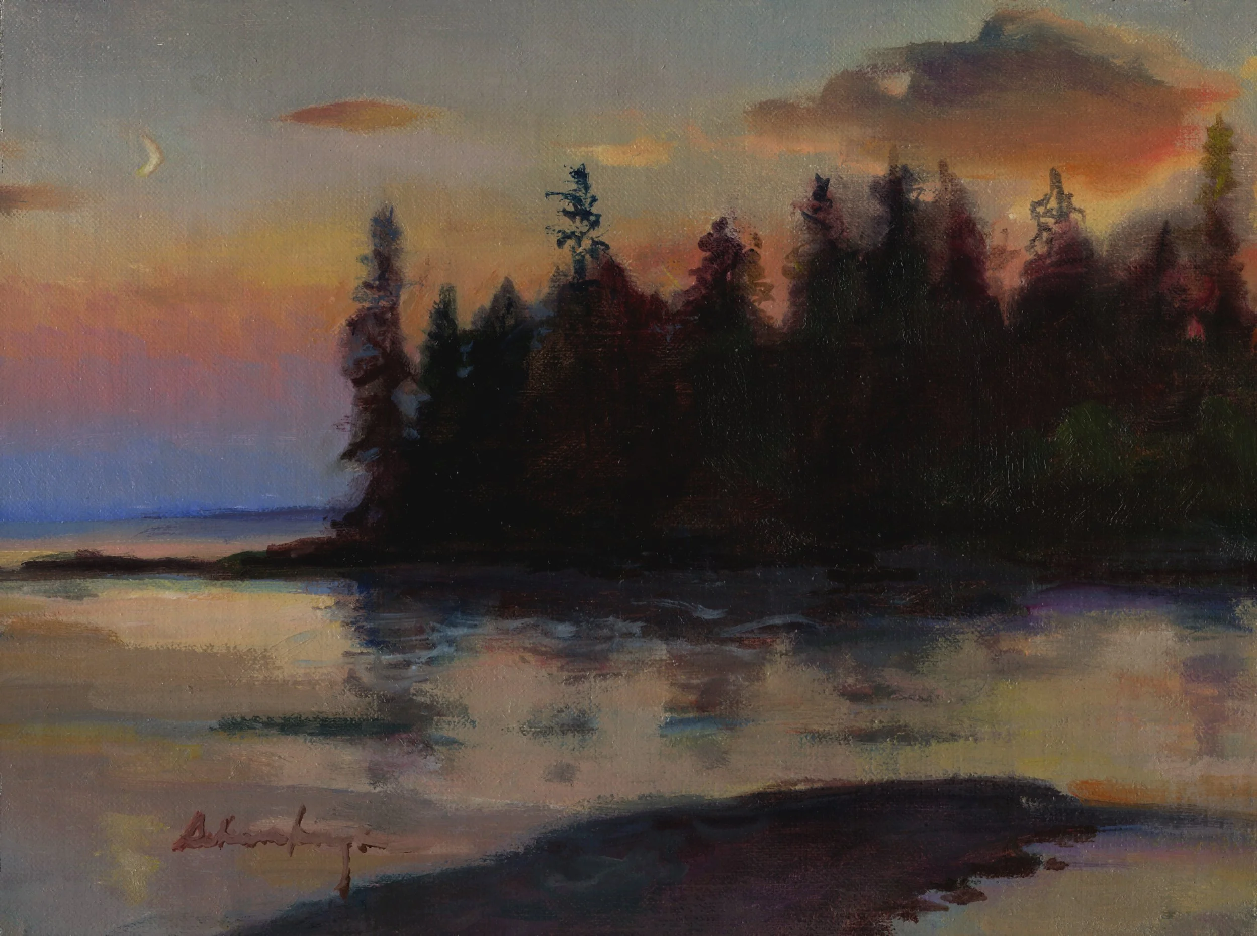 Kelly Schamberger