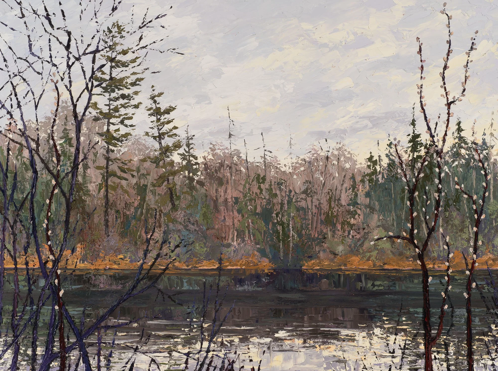 Dan Olson "Spring Willows at East Bearskin"