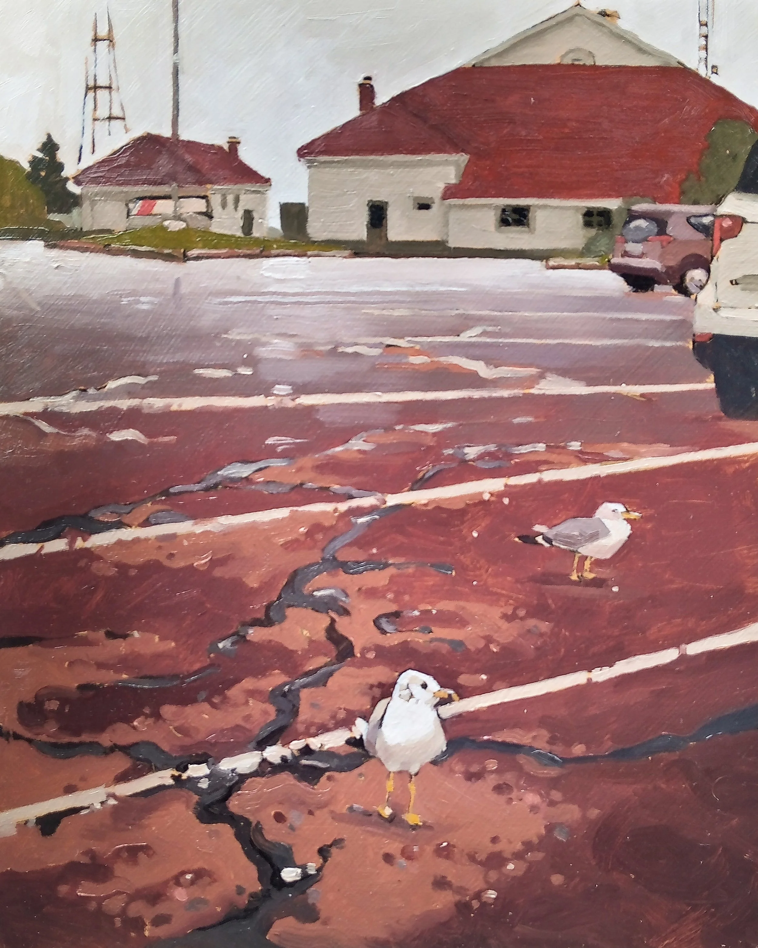 Andrew Carr - Honorable Mention - Seagulls in the Parking Lot