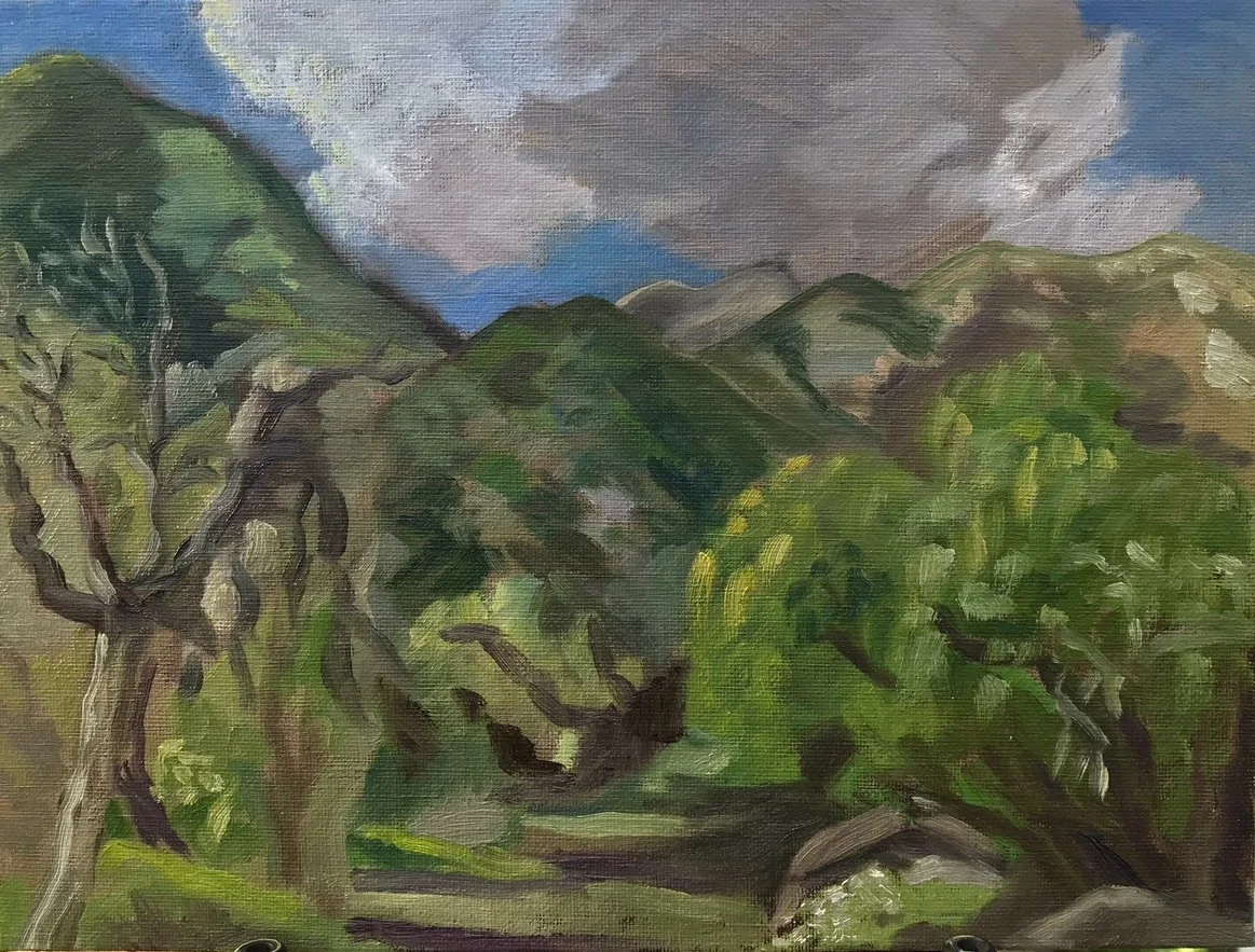 Arlene Fisher "Marblehead Falls Trailhead, Foothills of Sequoia National Park, CA"